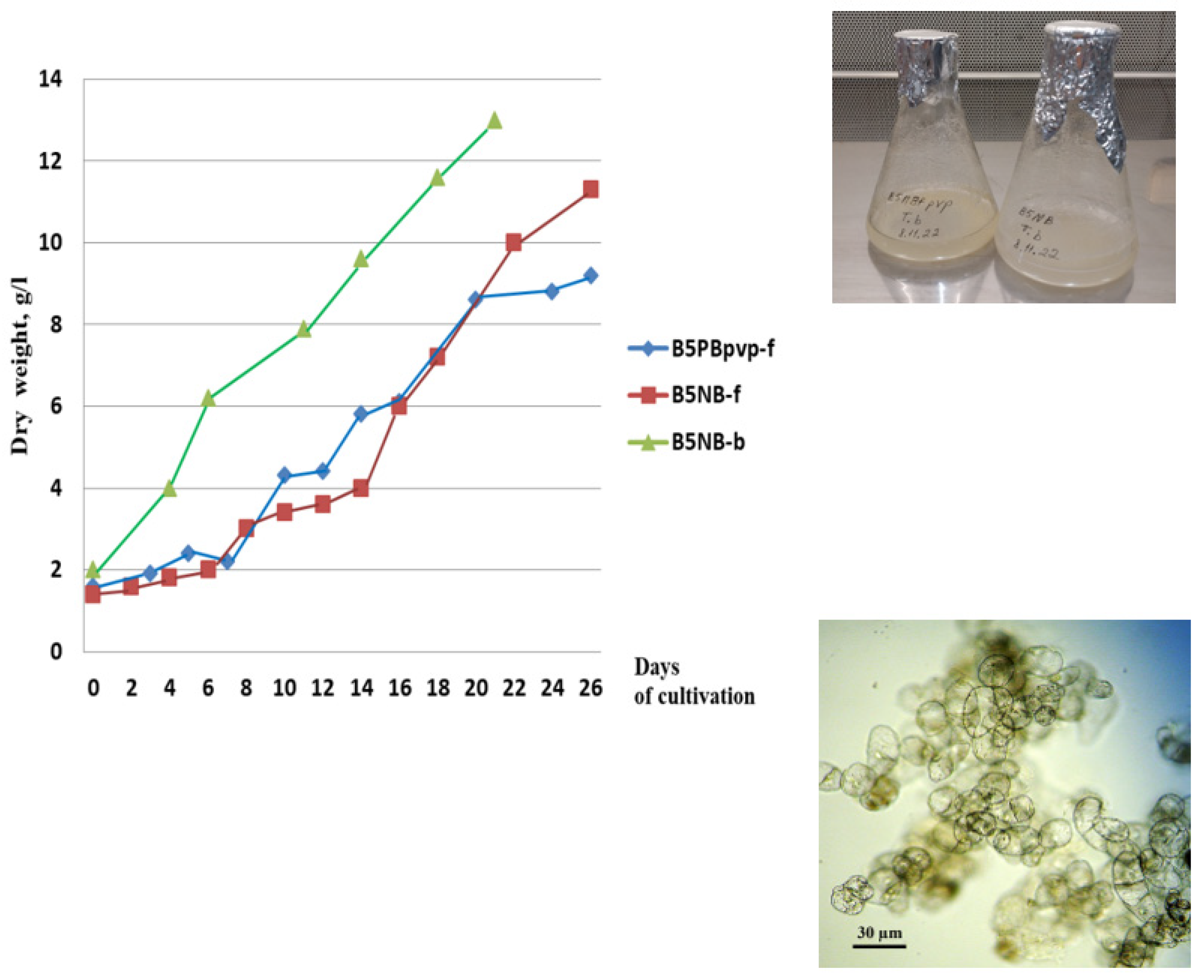 Molecules 28 02178 g001