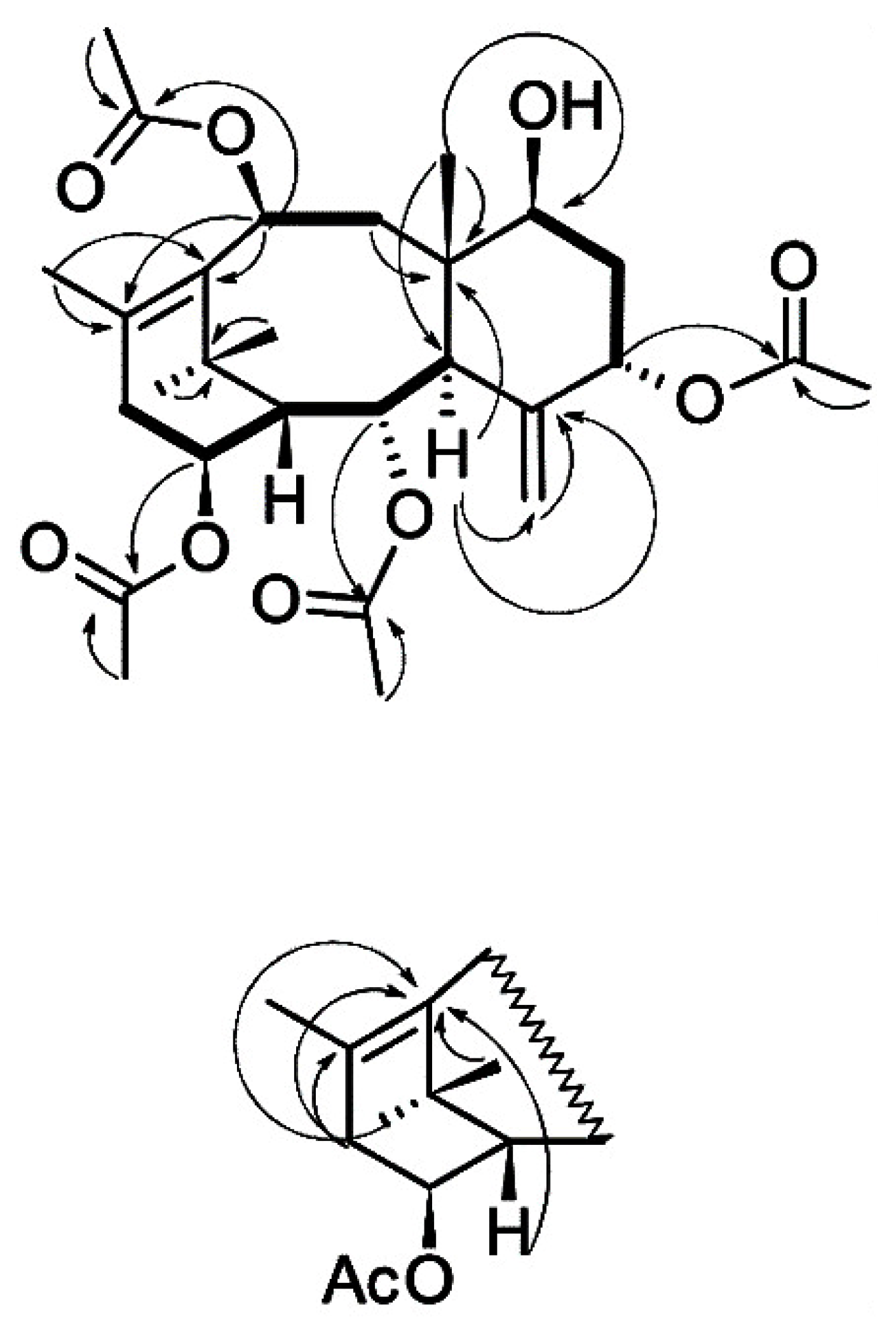 Molecules 28 02178 g004