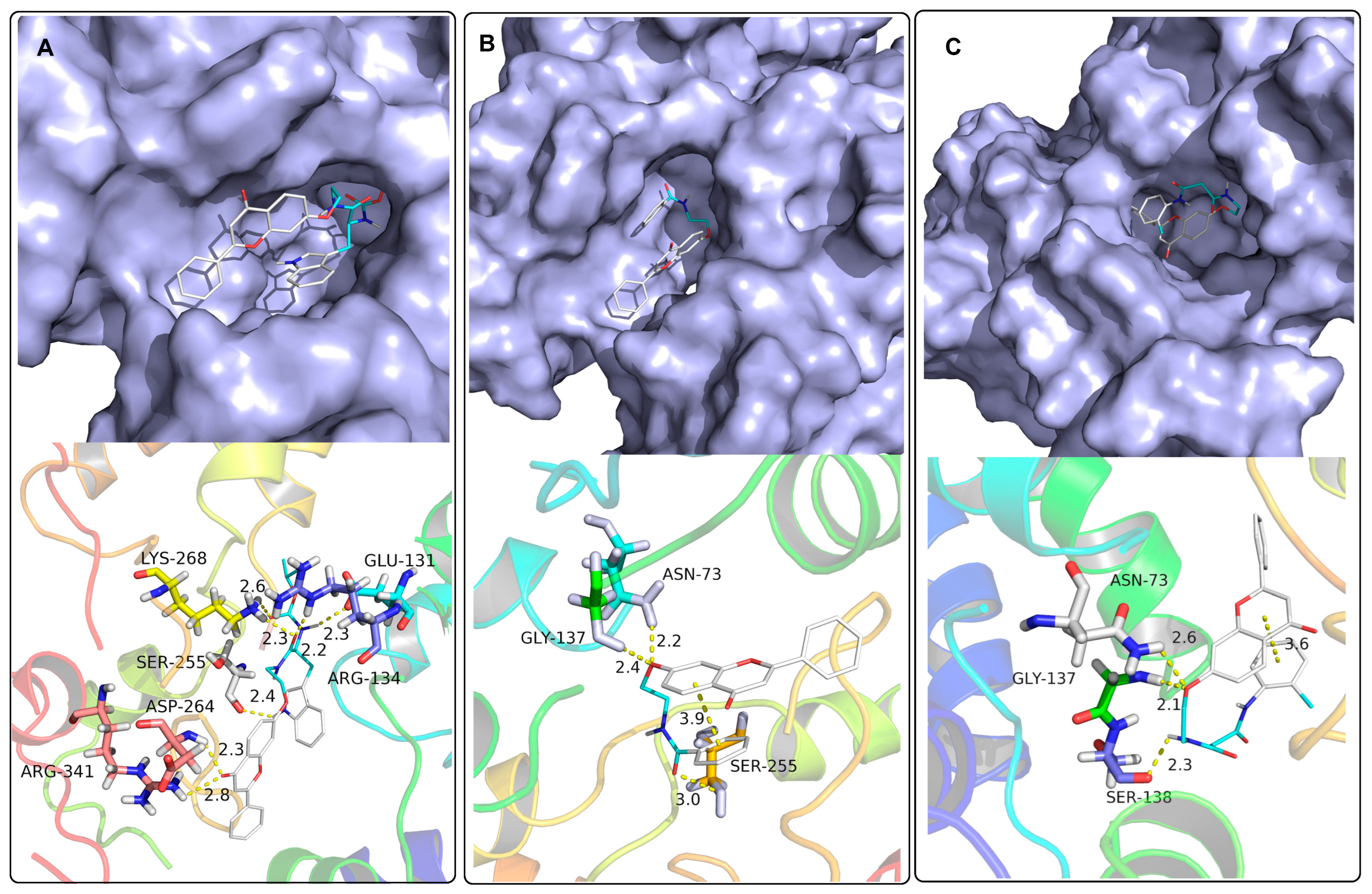 Molecules 28 02179 g003