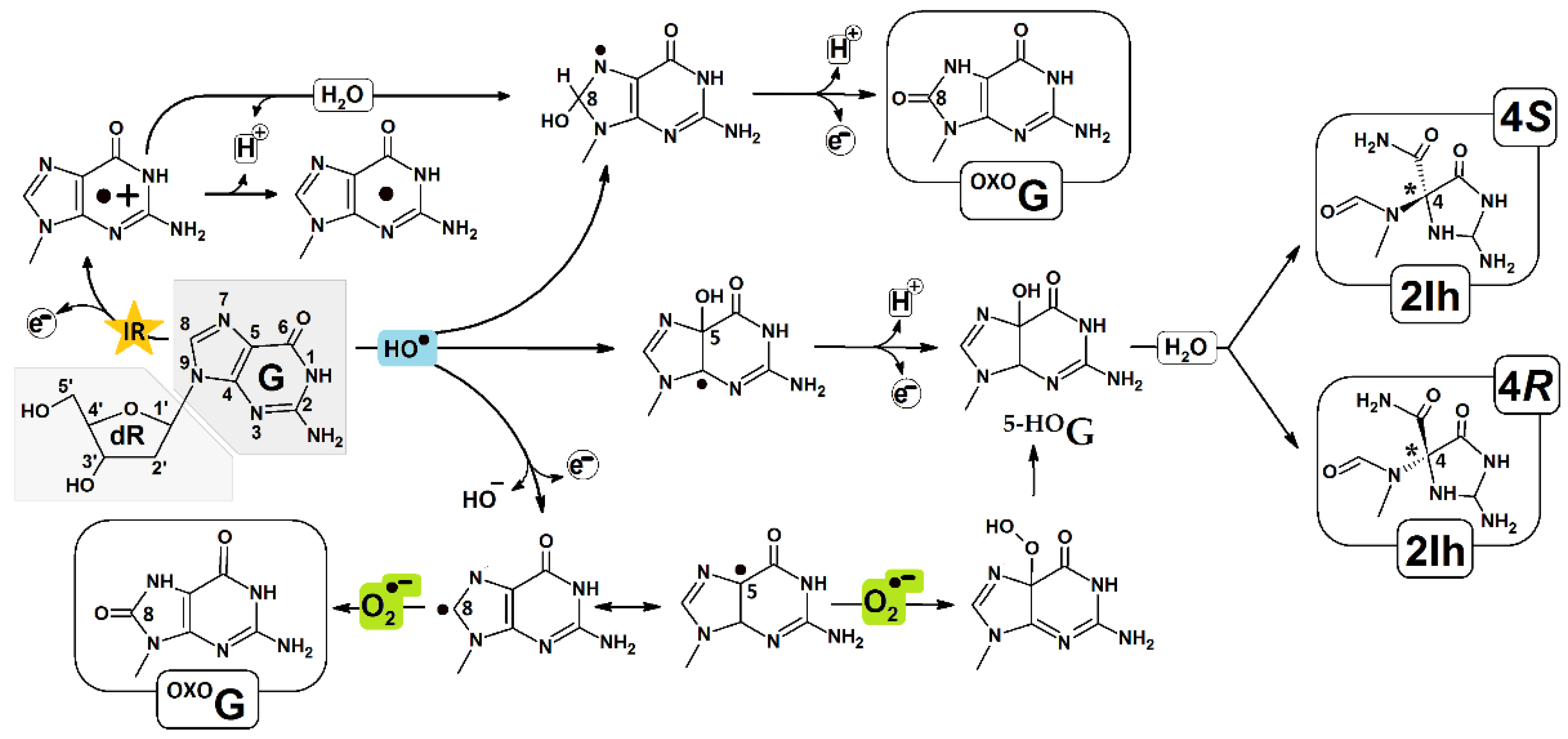 Molecules 28 02180 g001 Molecules 28 02180 g001
