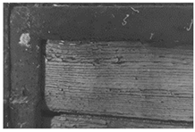 Molecules 28 02197 i009