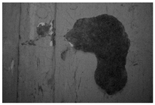 Molecules 28 02197 i021