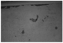 Molecules 28 02197 i024