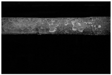 Molecules 28 02197 i033