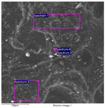 Molecules 28 02197 i040