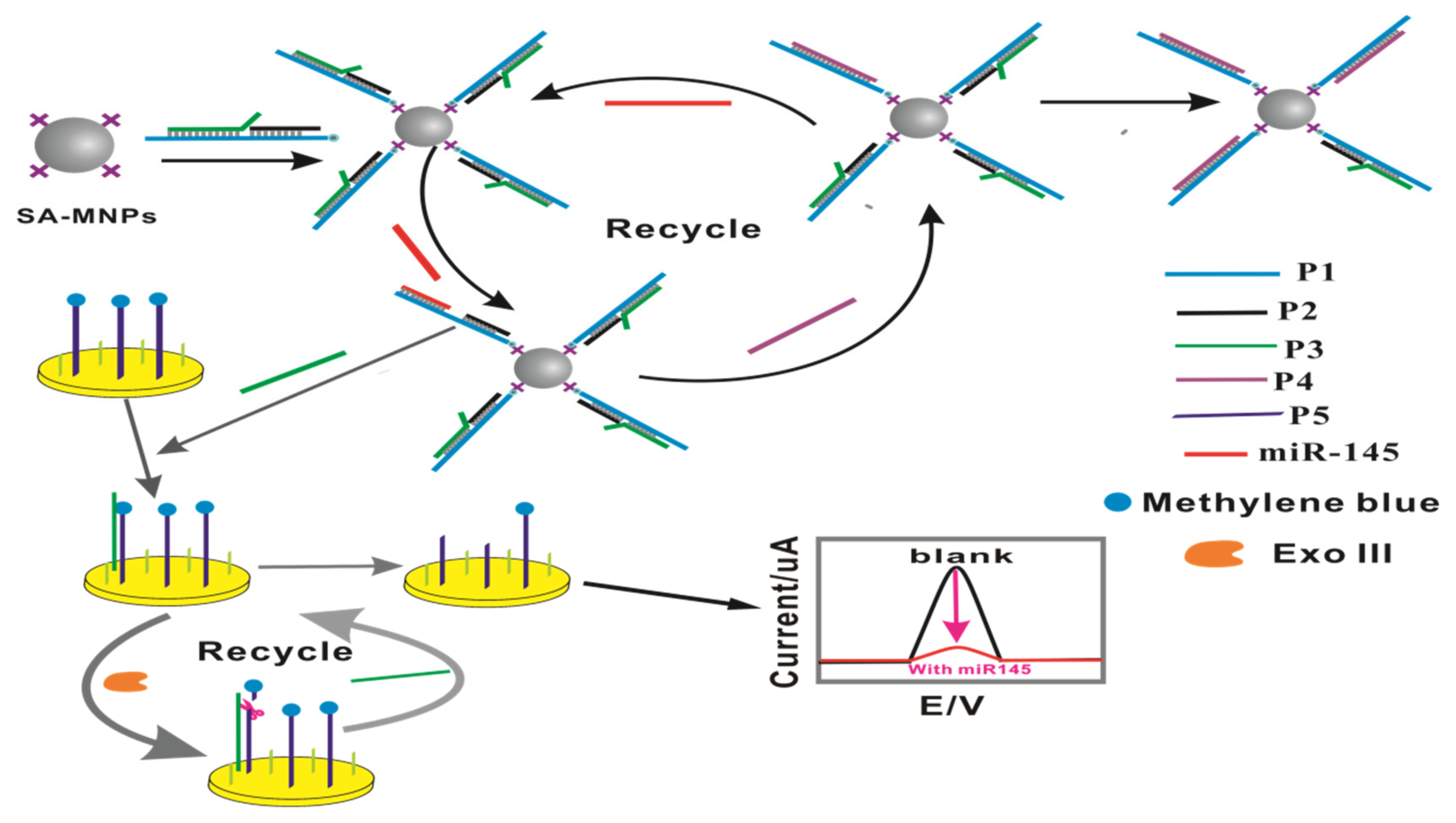 Molecules 28 02208 sch001
