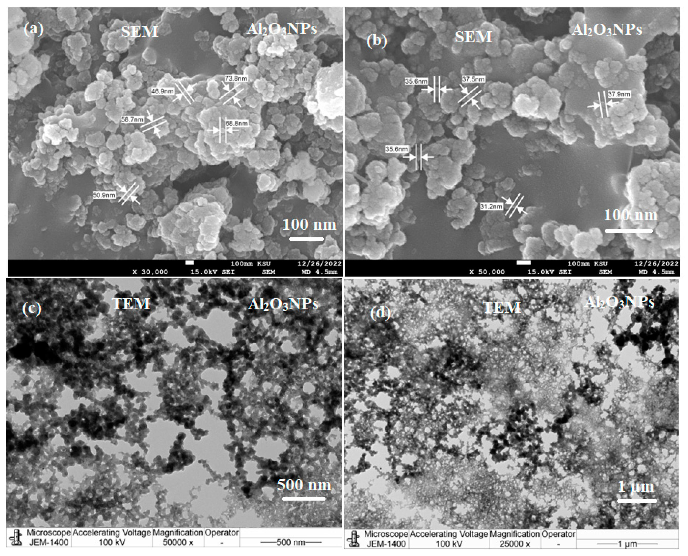 Molecules 28 02210 g003 Molecules 28 02210 g003