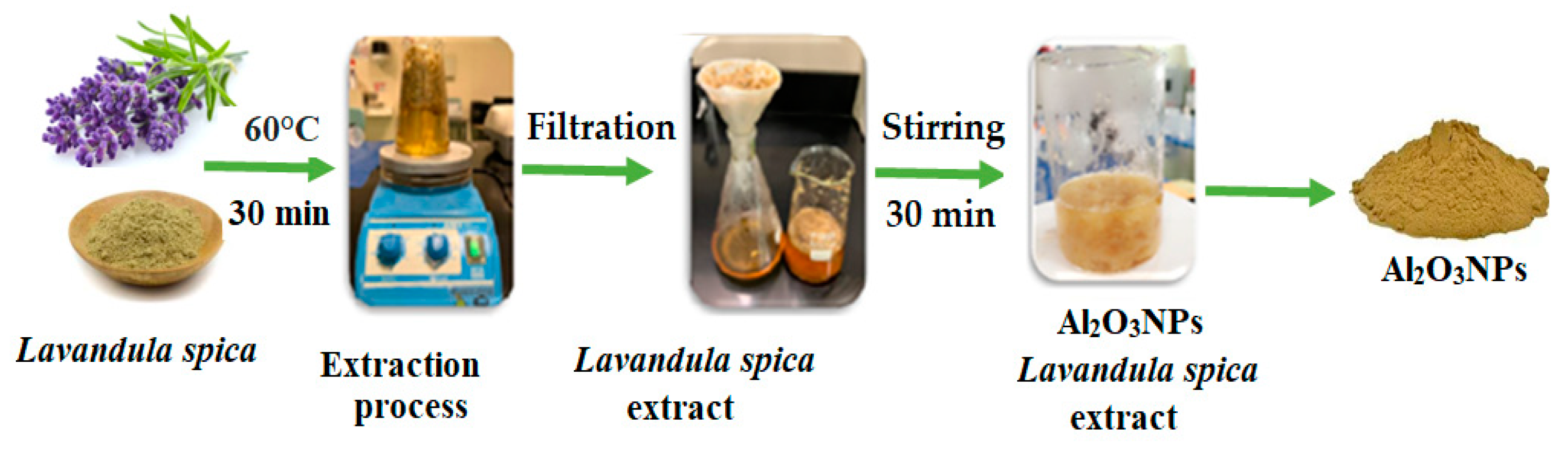 Molecules 28 02210 sch001 Molecules 28 02210 sch001