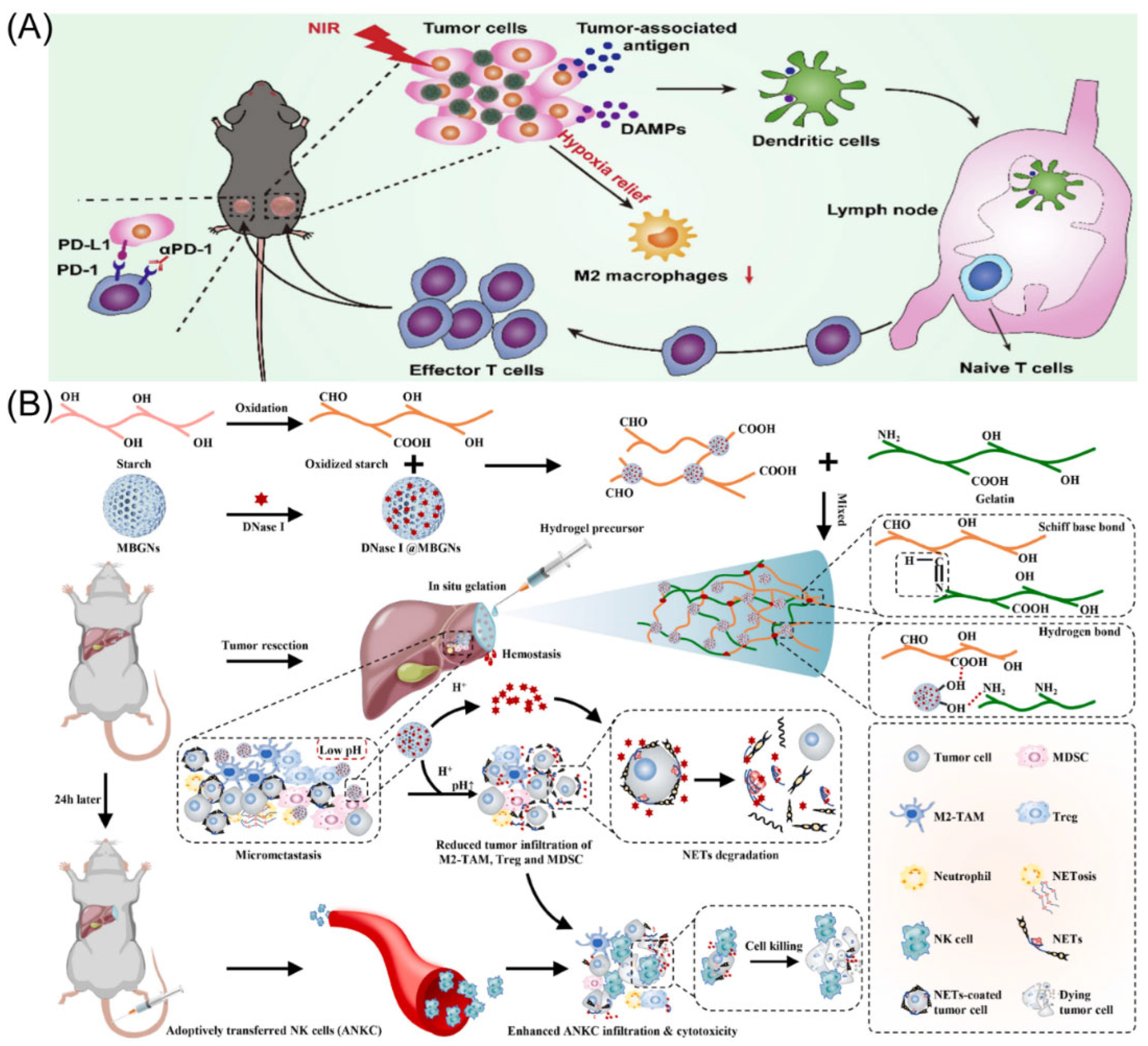 Molecules 28 02211 g002 Molecules 28 02211 g002
