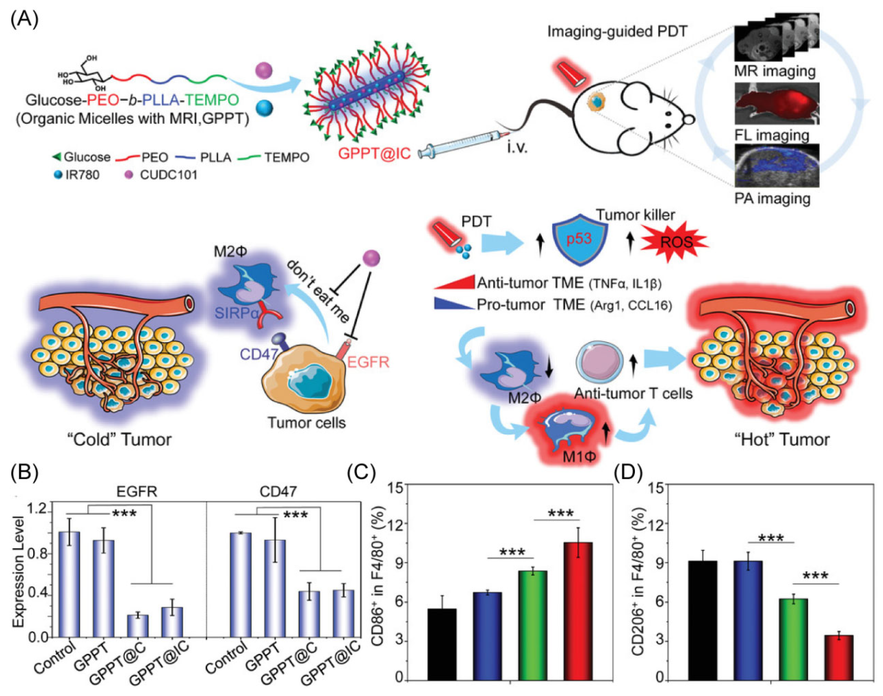 Molecules 28 02211 g005 Molecules 28 02211 g005