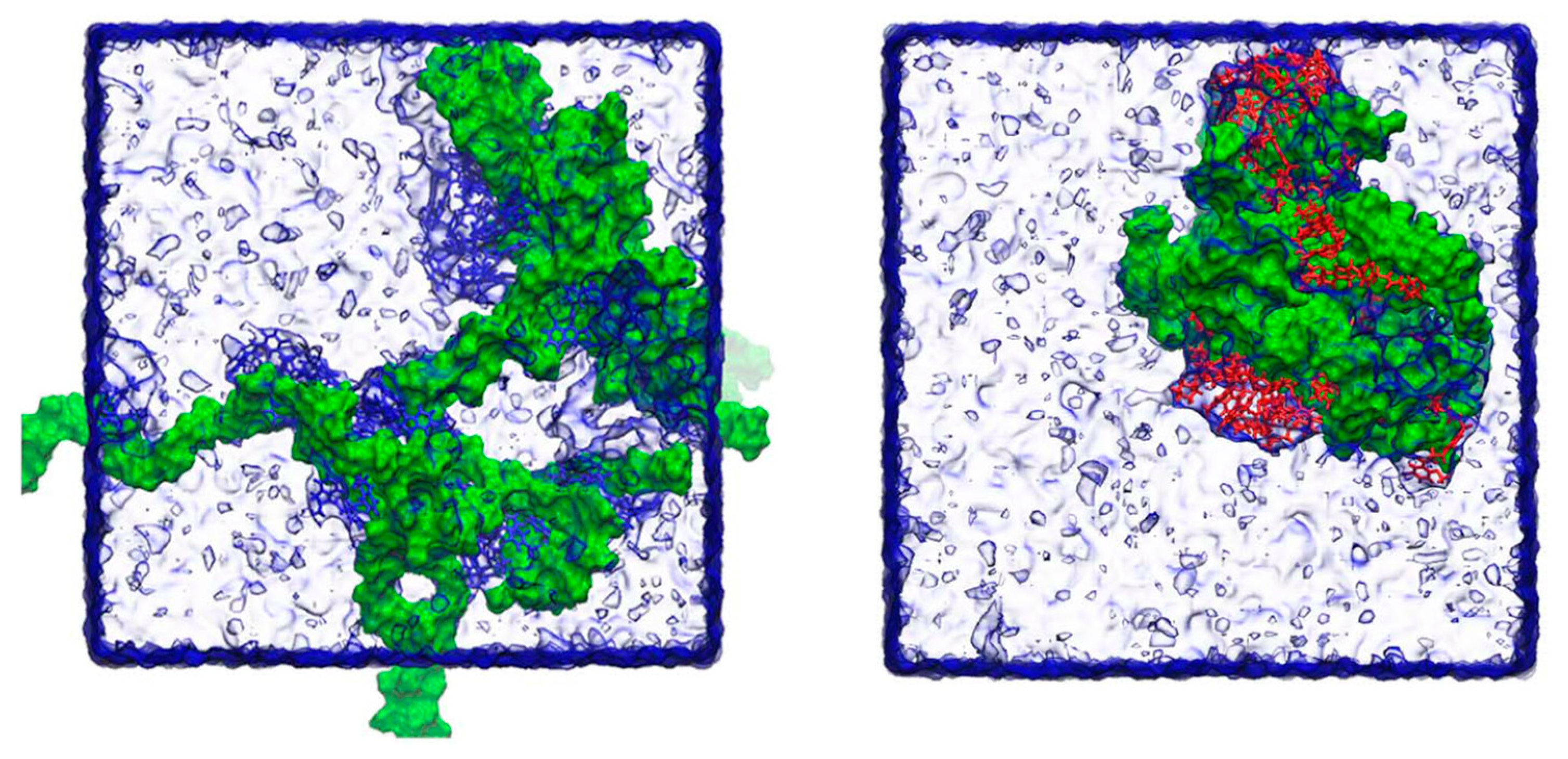 Molecules 28 02212 g007