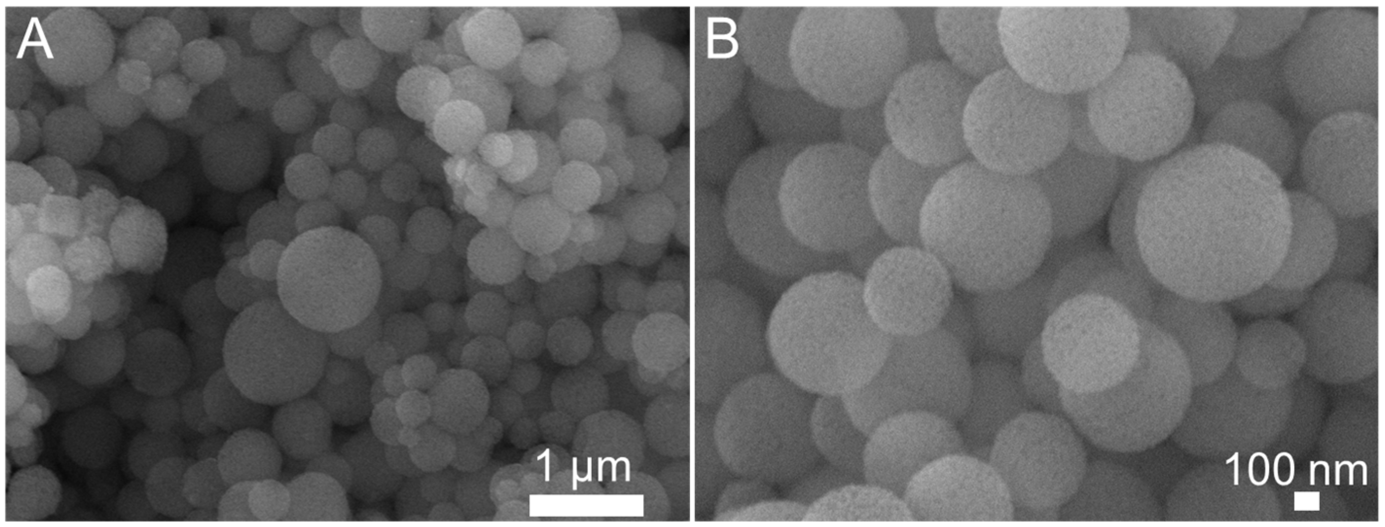Molecules 28 02224 g001