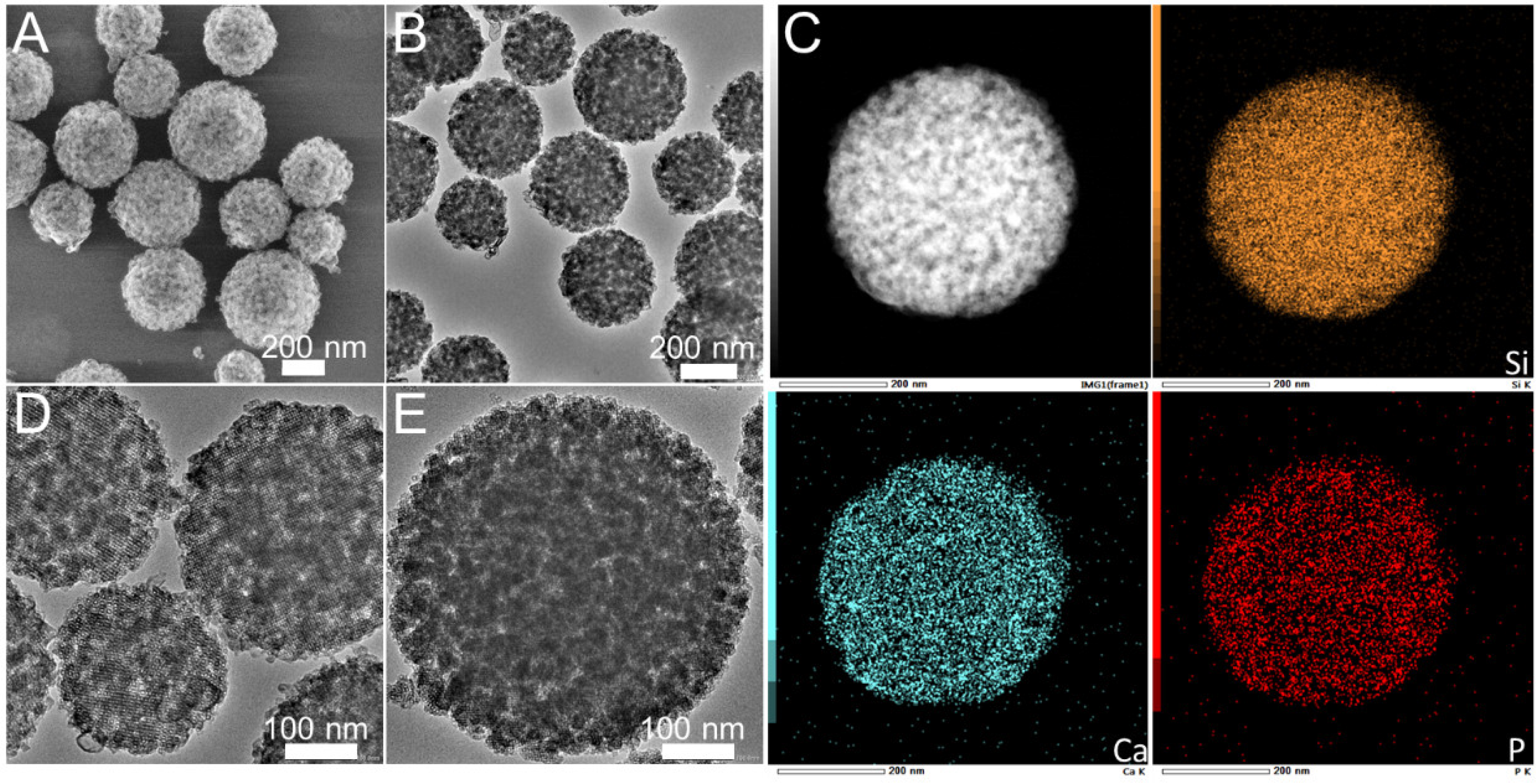 Molecules 28 02224 g002