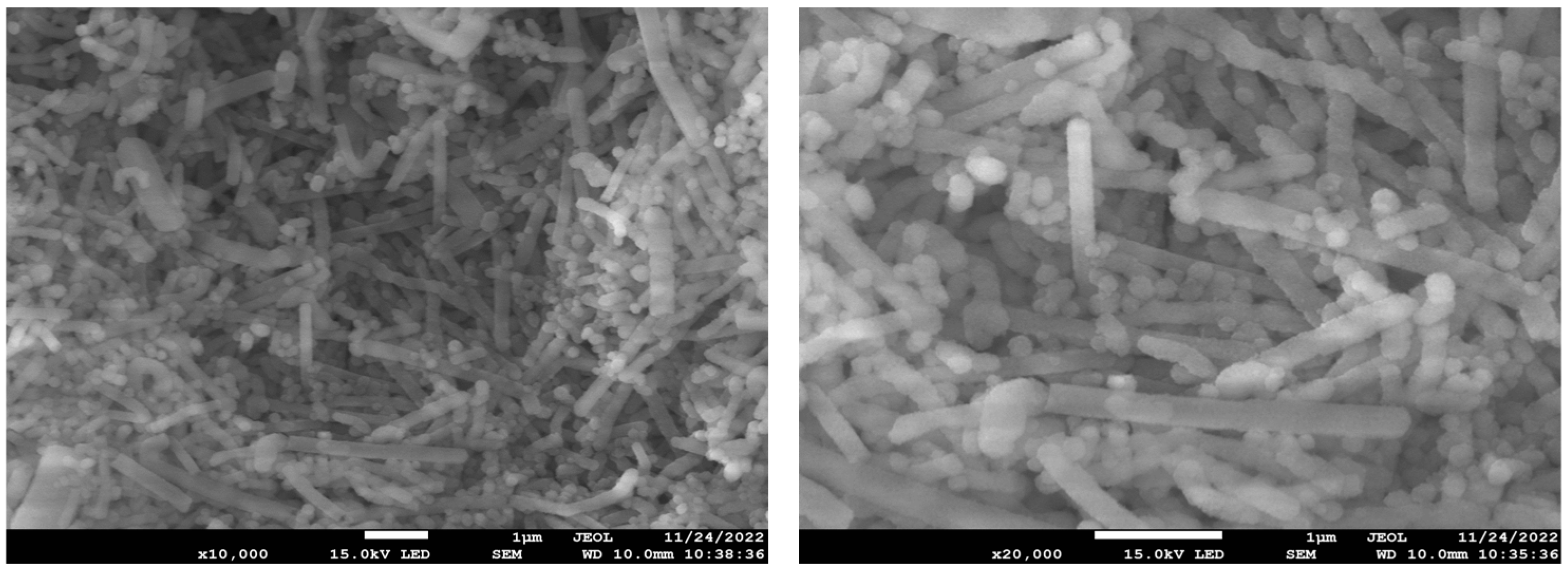 Molecules 28 02224 g005