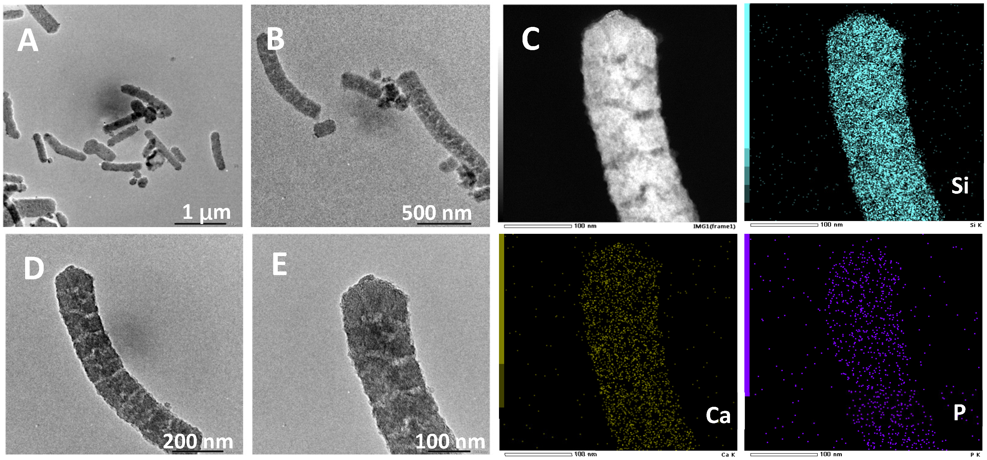 Molecules 28 02224 g006