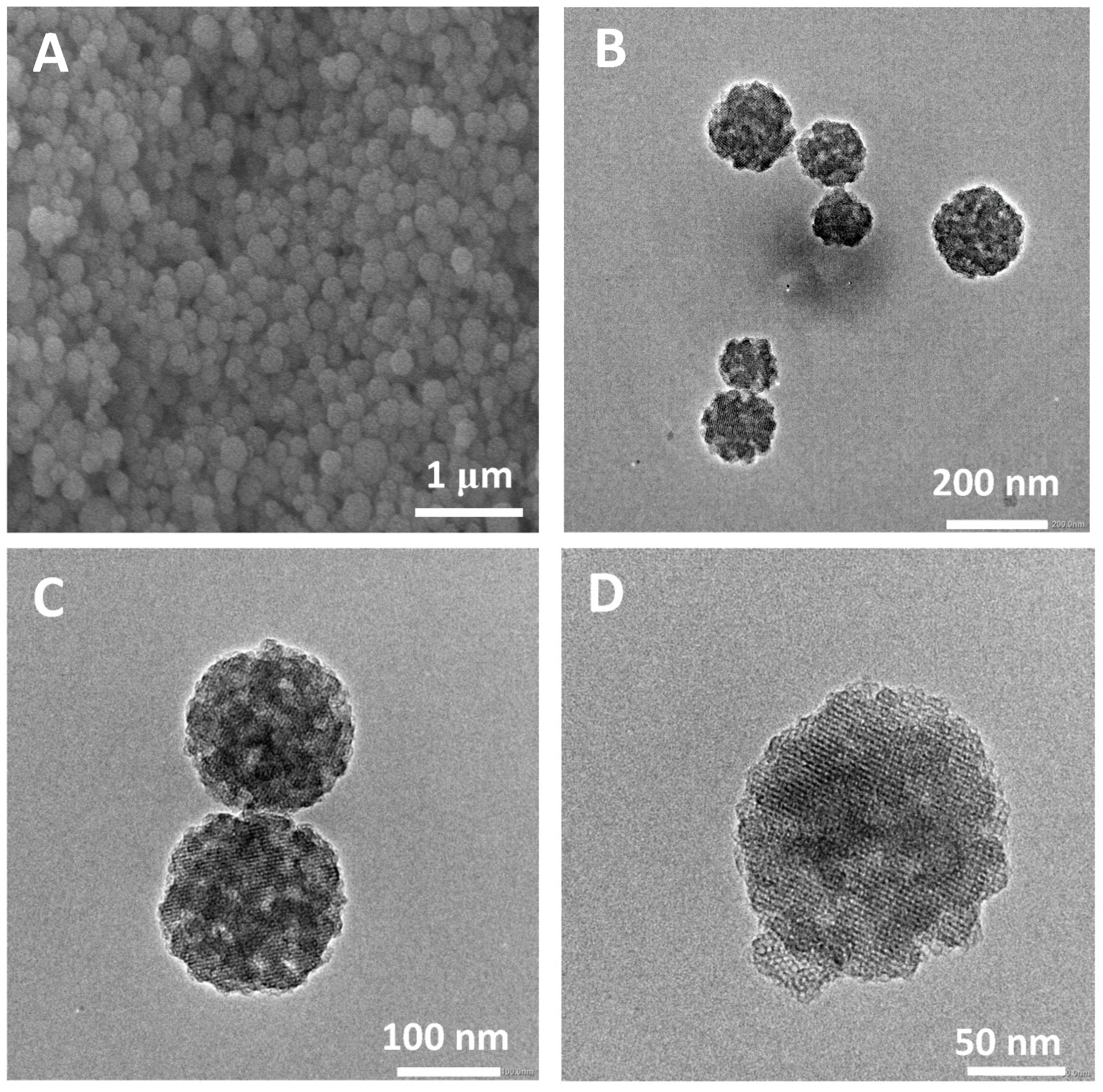 Molecules 28 02224 g009