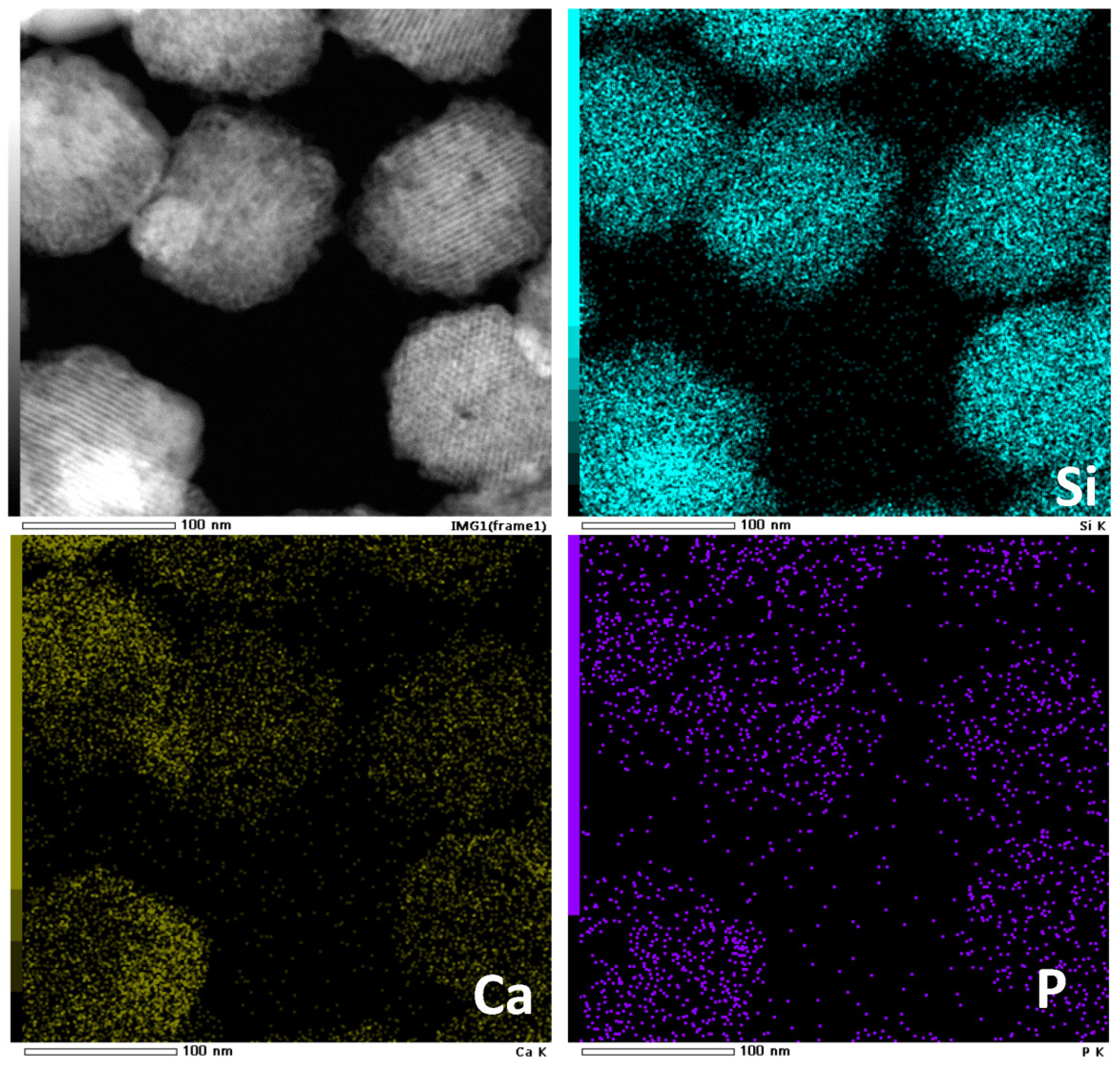 Molecules 28 02224 g010