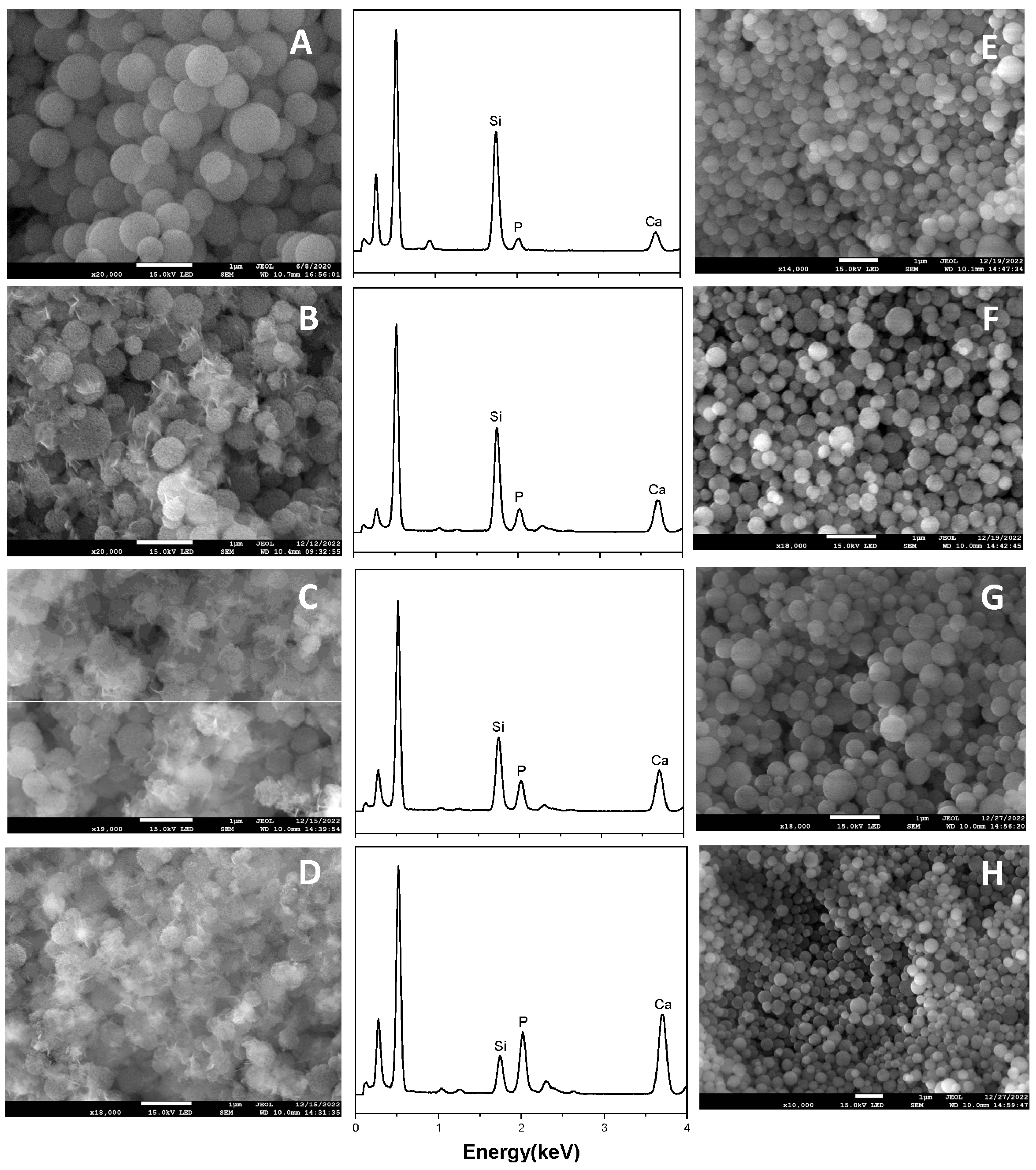 Molecules 28 02224 g012