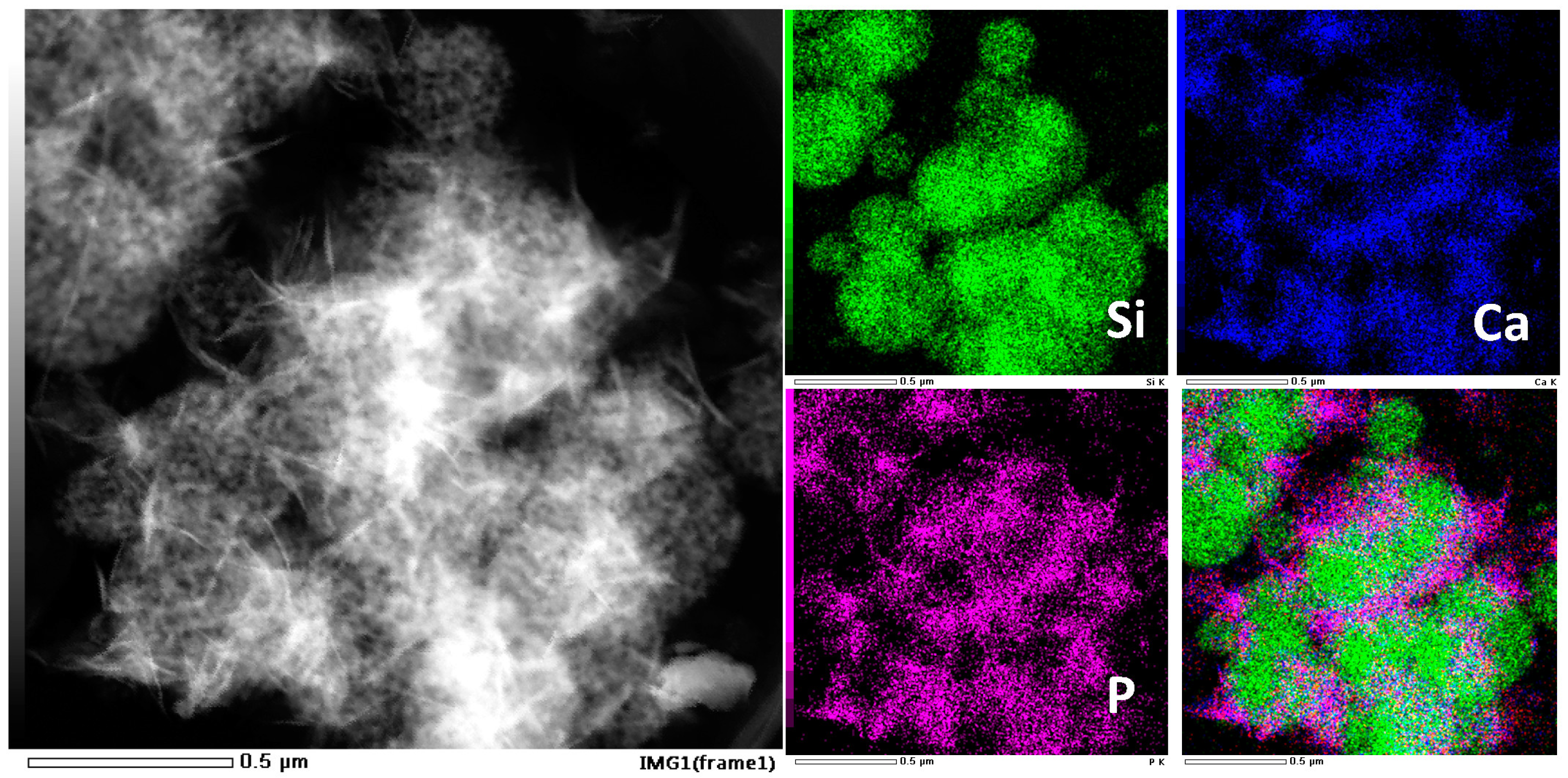 Molecules 28 02224 g013