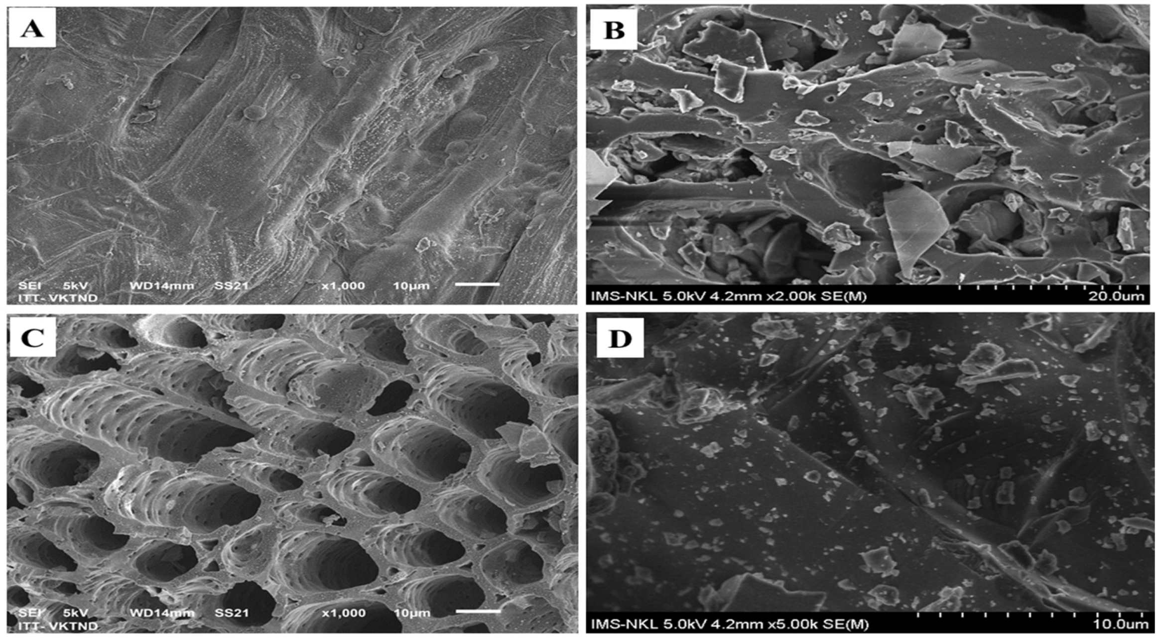 Molecules 28 02225 g002
