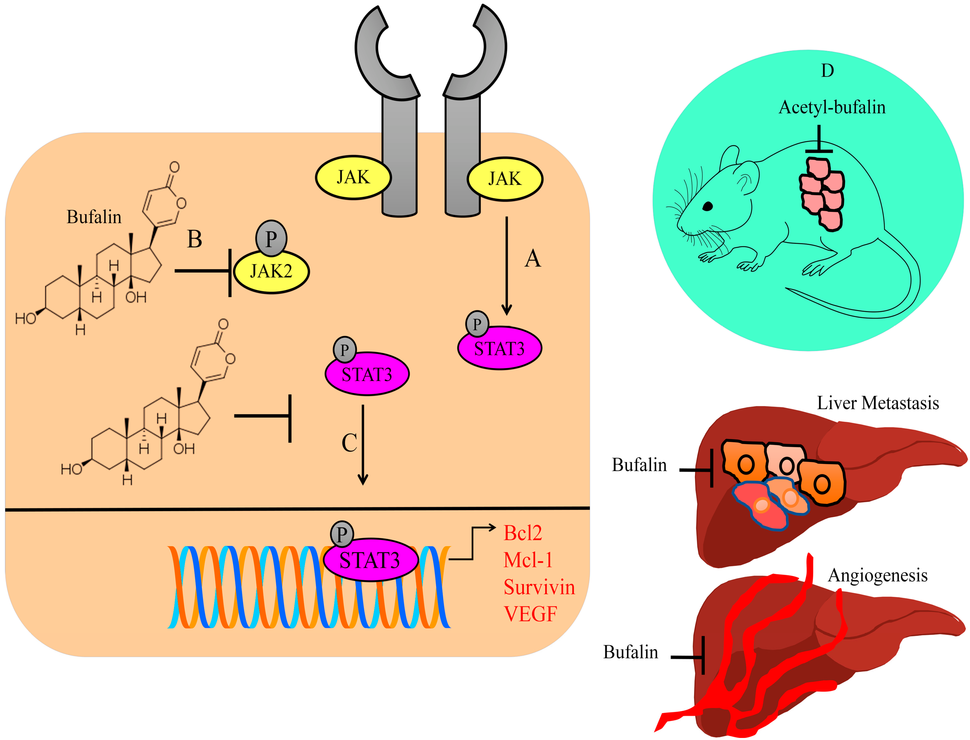 Molecules 28 02231 g001