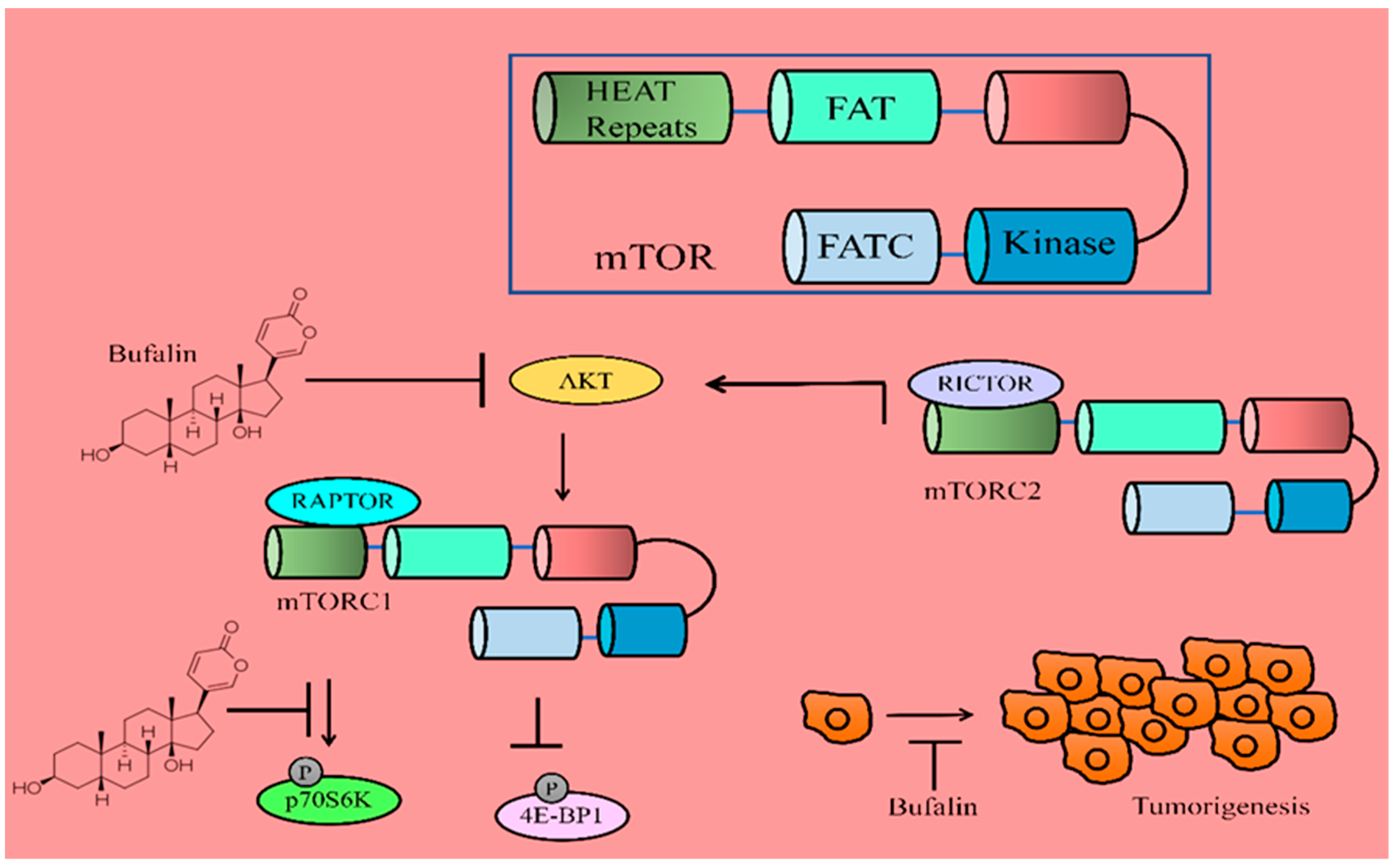Molecules 28 02231 g002