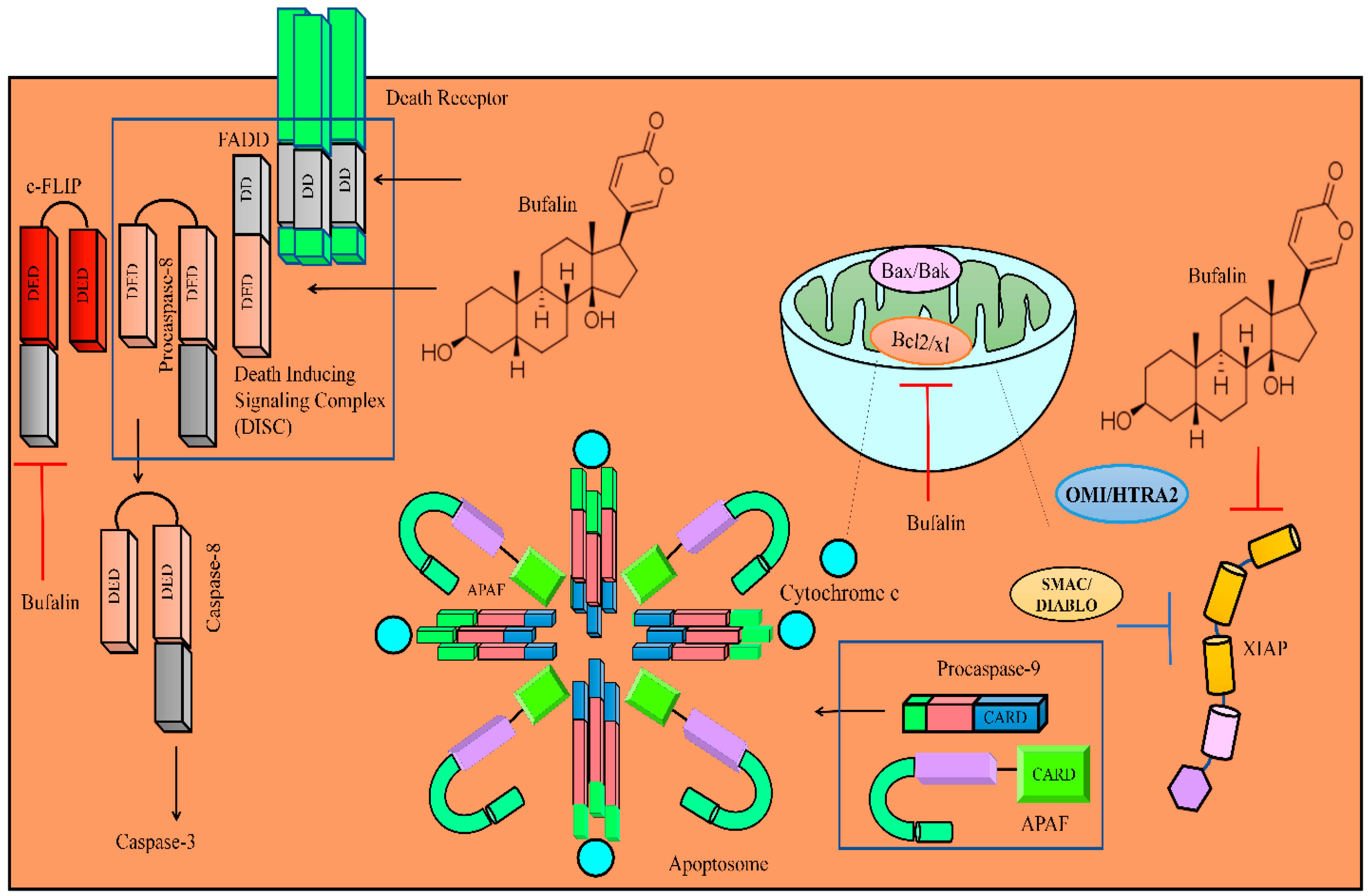 Molecules 28 02231 g003