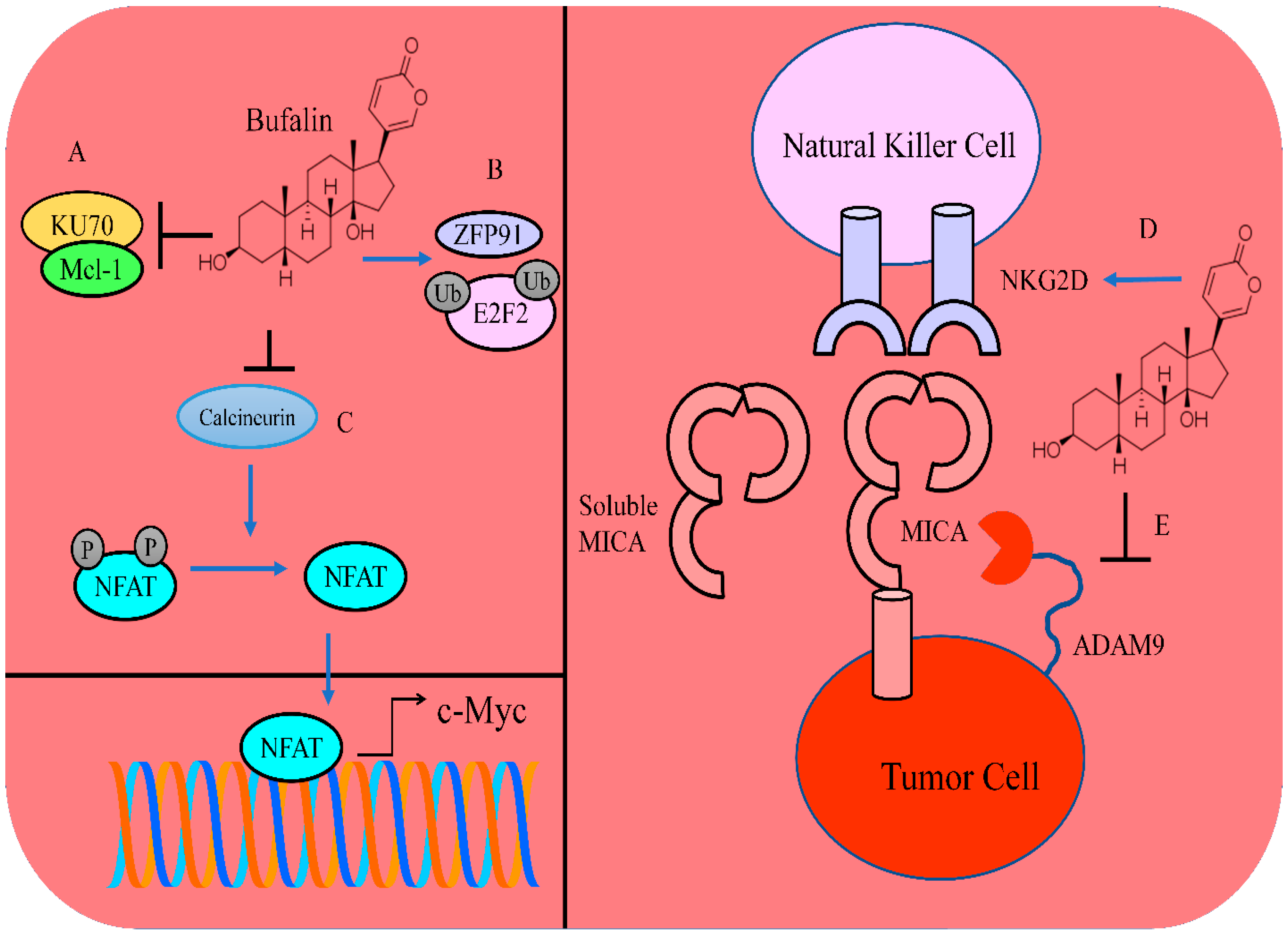 Molecules 28 02231 g004