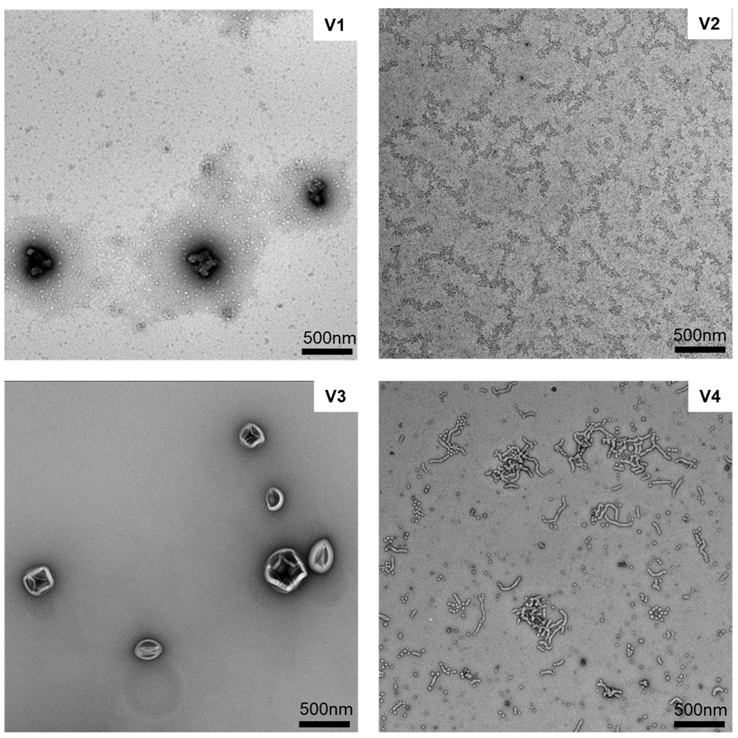 Molecules 28 02248 g002