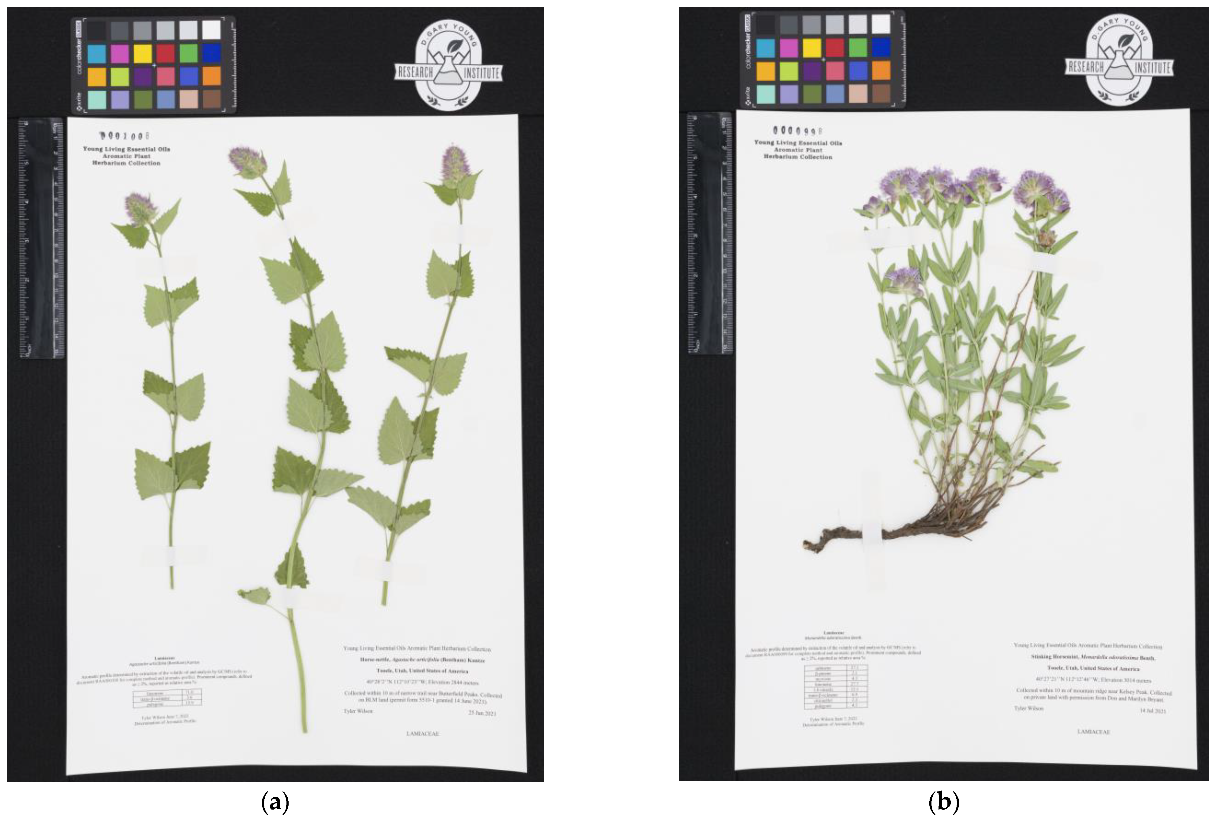 Molecules 28 02249 g001