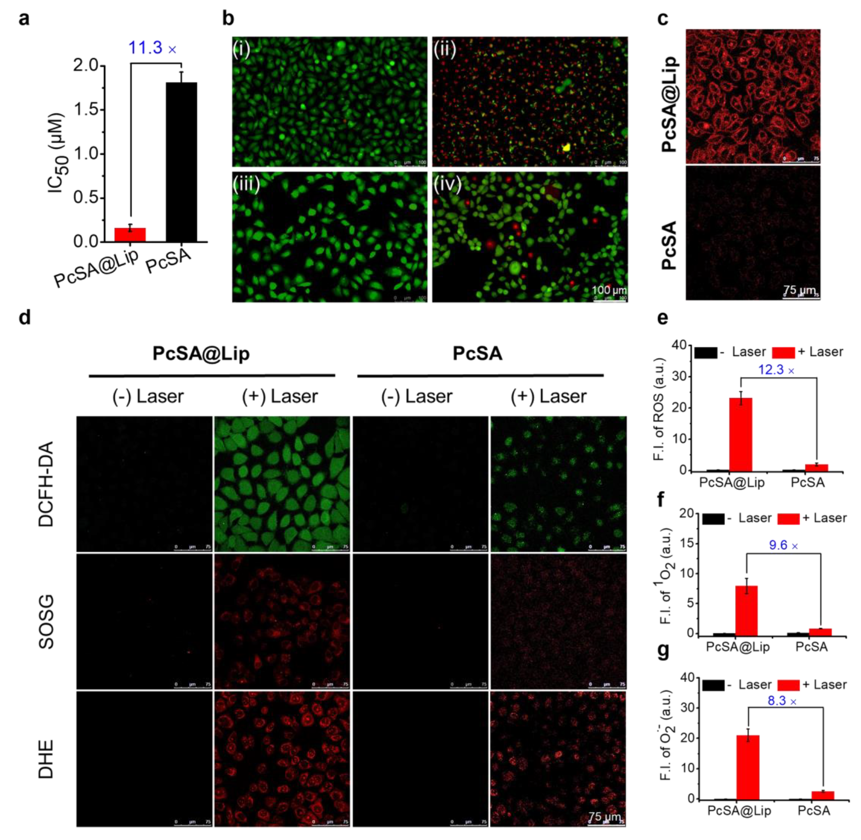 Molecules 28 02250 g004
