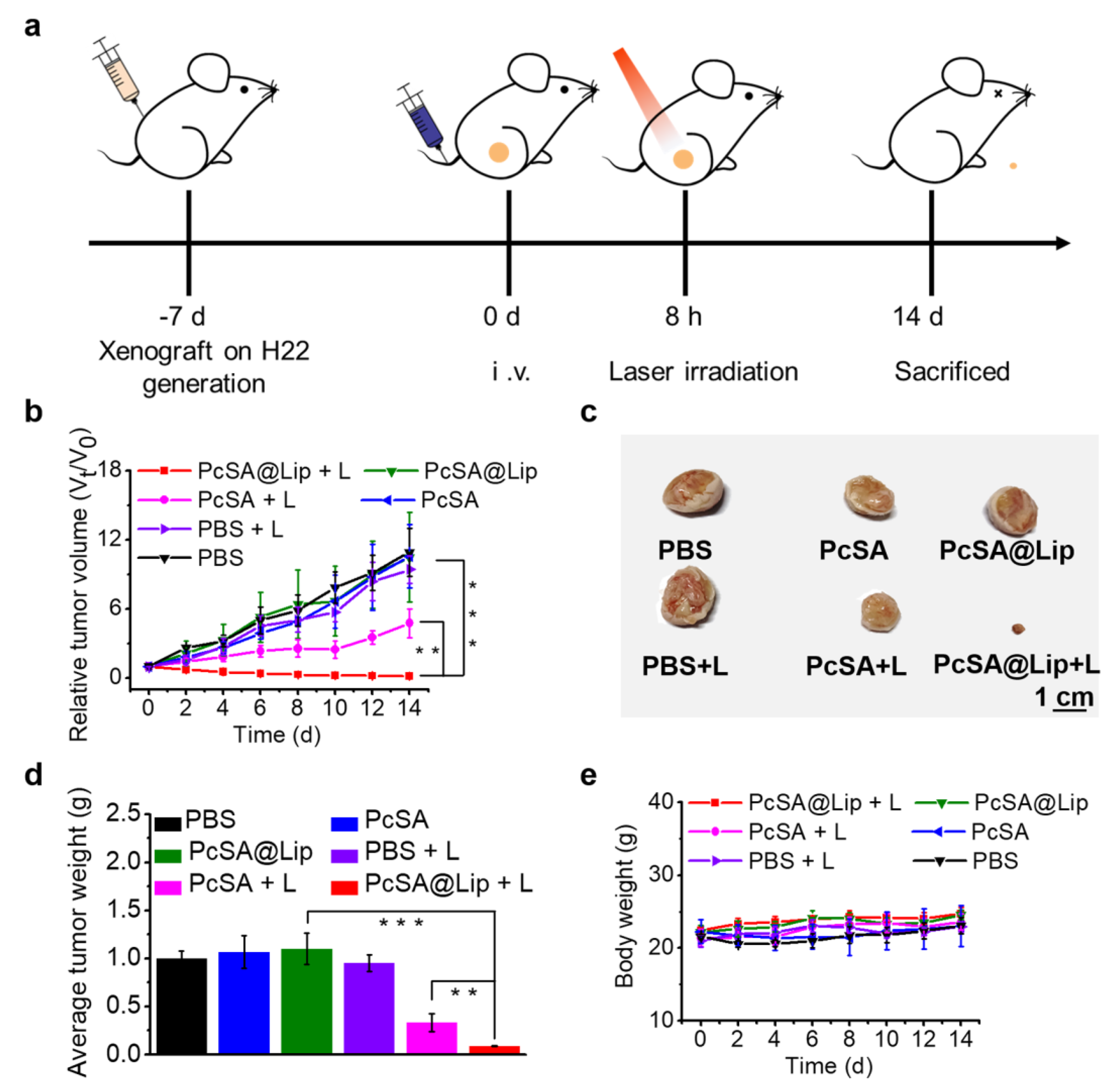 Molecules 28 02250 g006