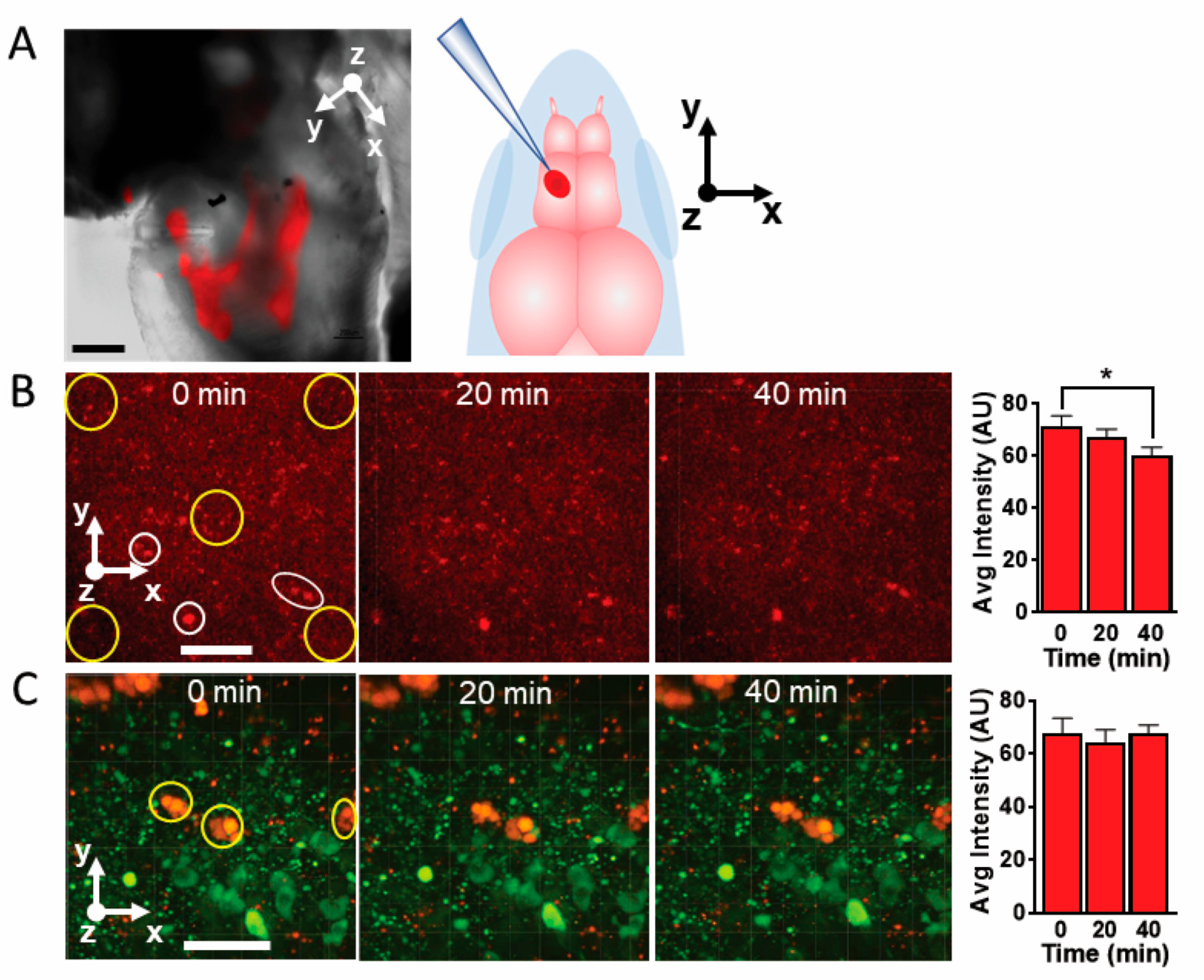 Molecules 28 02260 g005