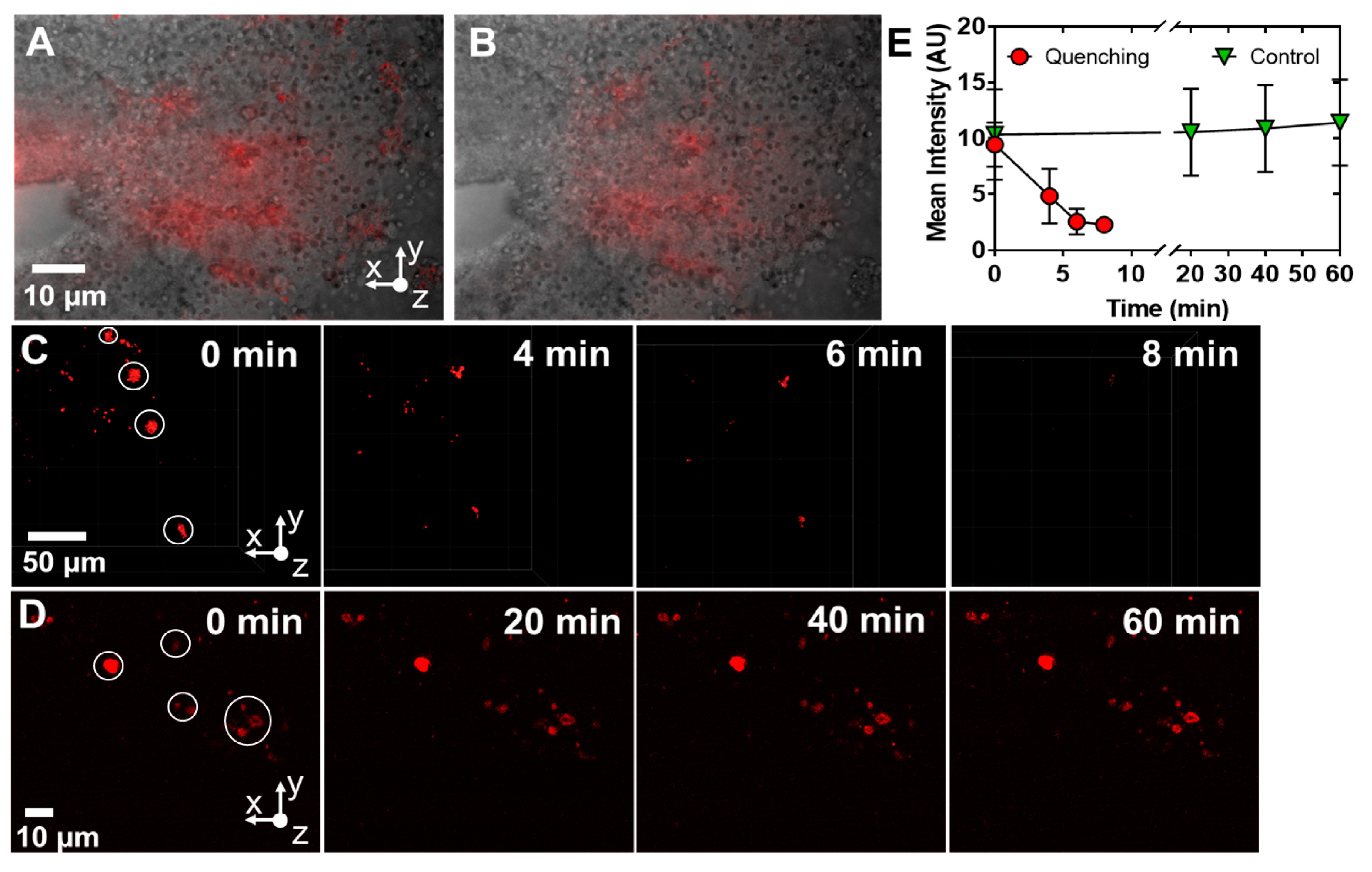 Molecules 28 02260 g007