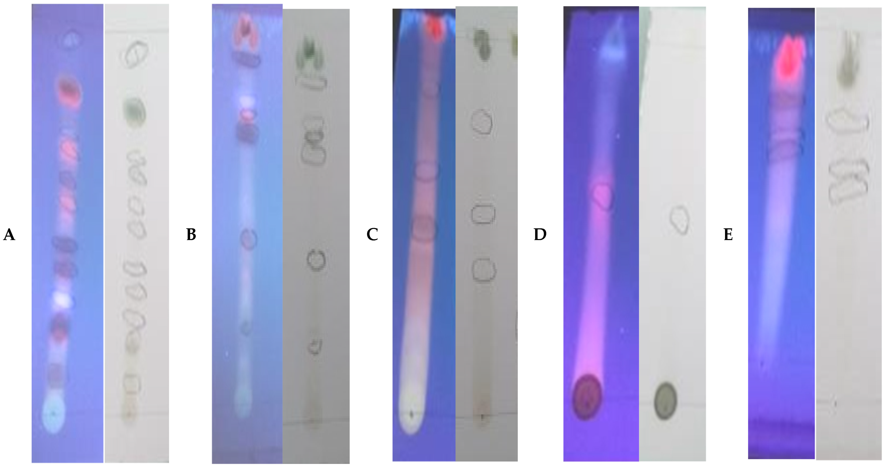 Molecules 28 02263 g001 Molecules 28 02263 g001