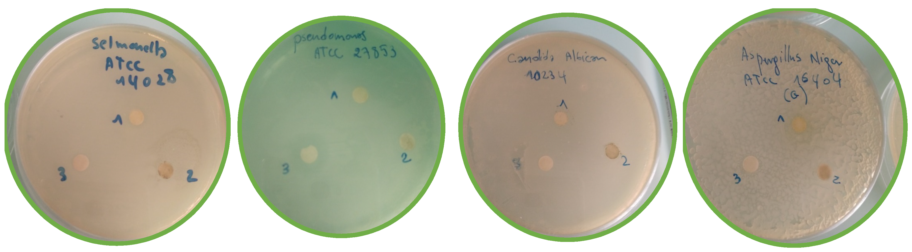 Molecules 28 02263 g014b Molecules 28 02263 g014b