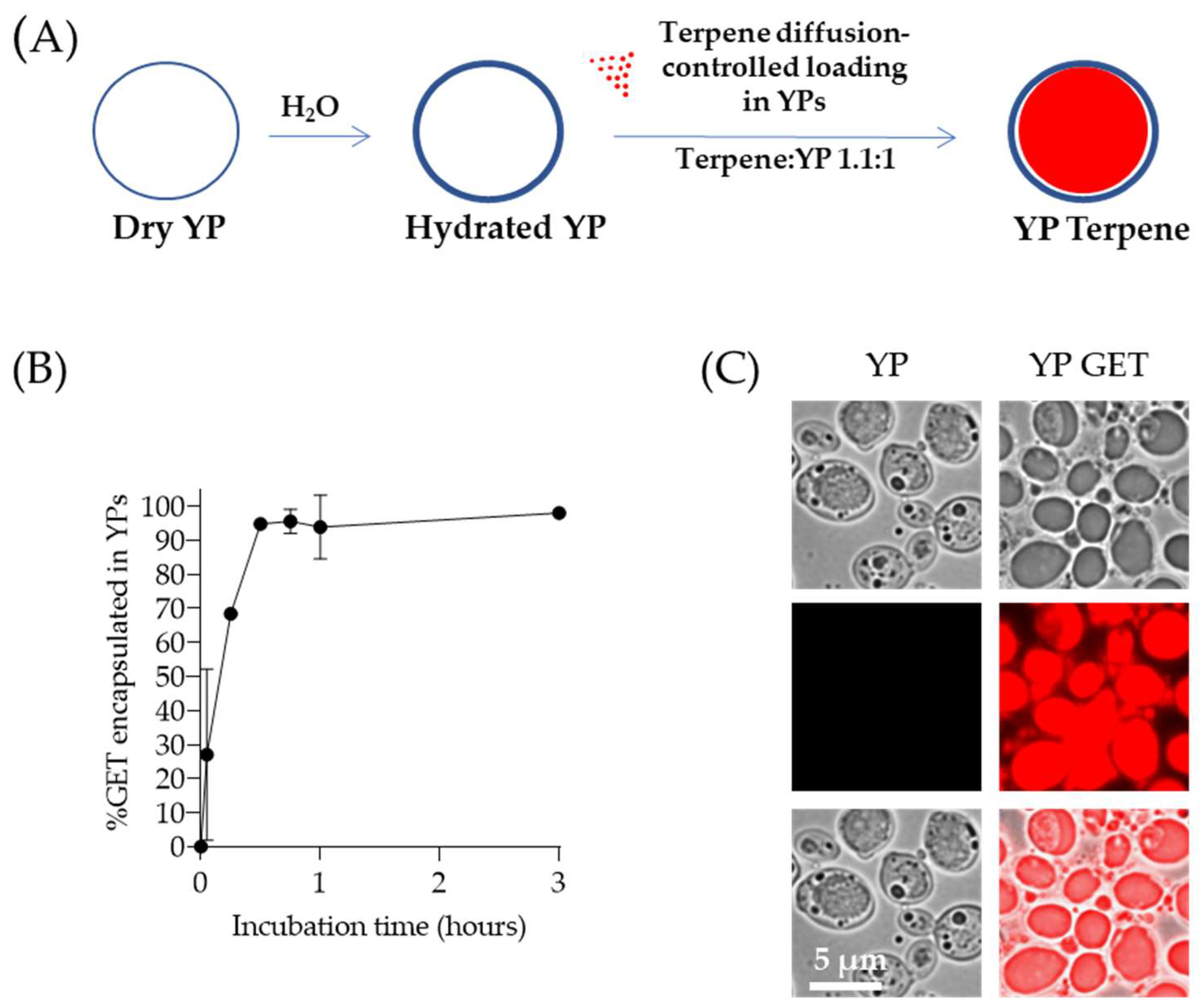 Molecules 28 02273 g001