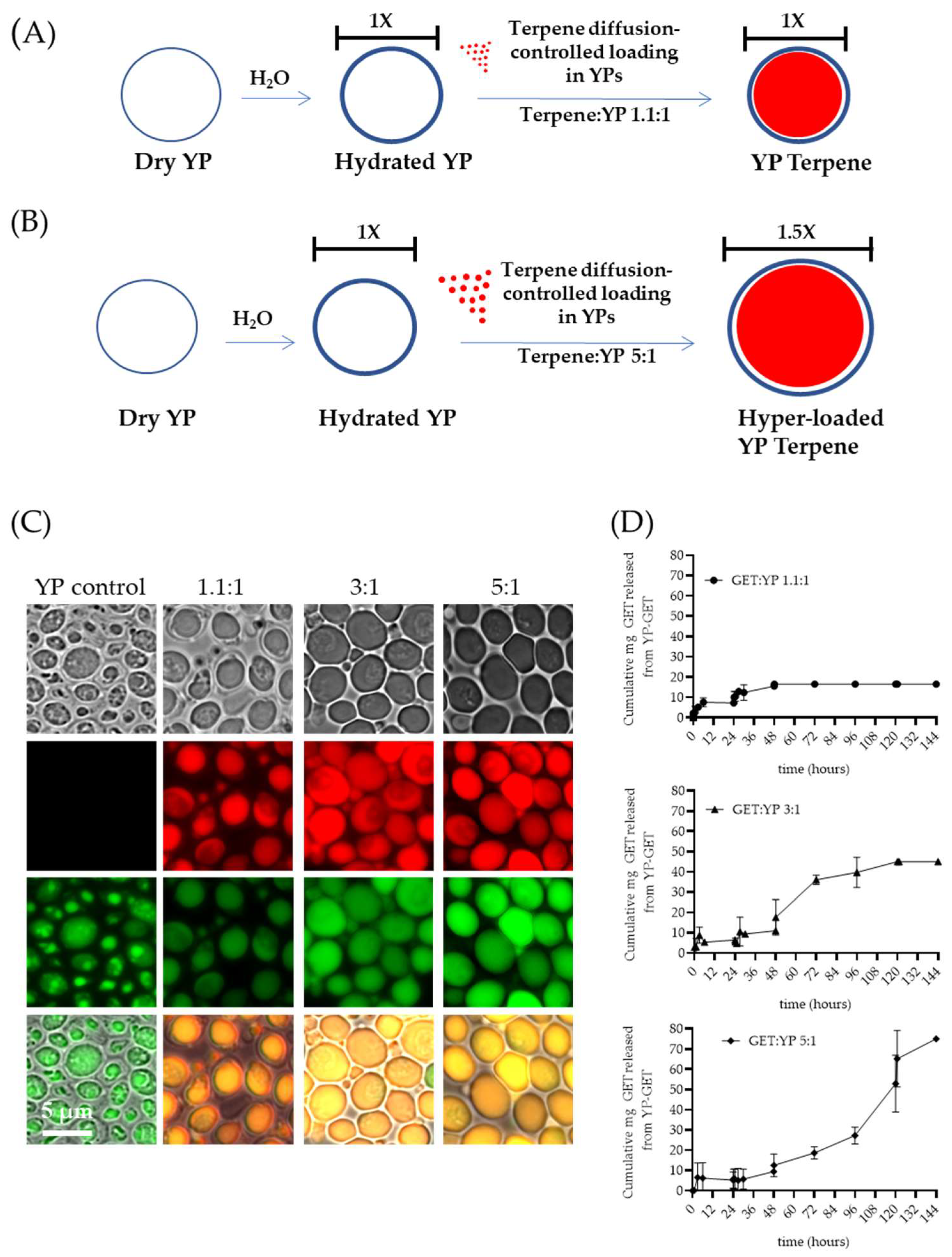 Molecules 28 02273 g004