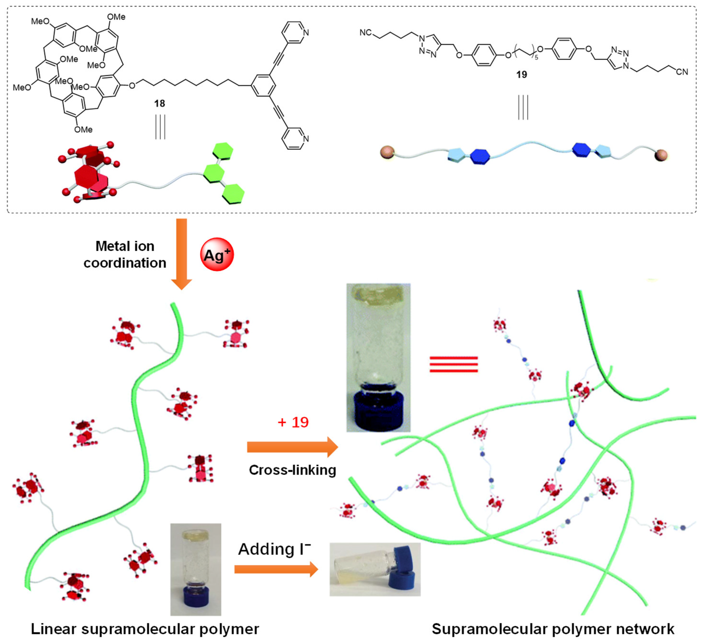 Molecules 28 02274 g006 Molecules 28 02274 g006