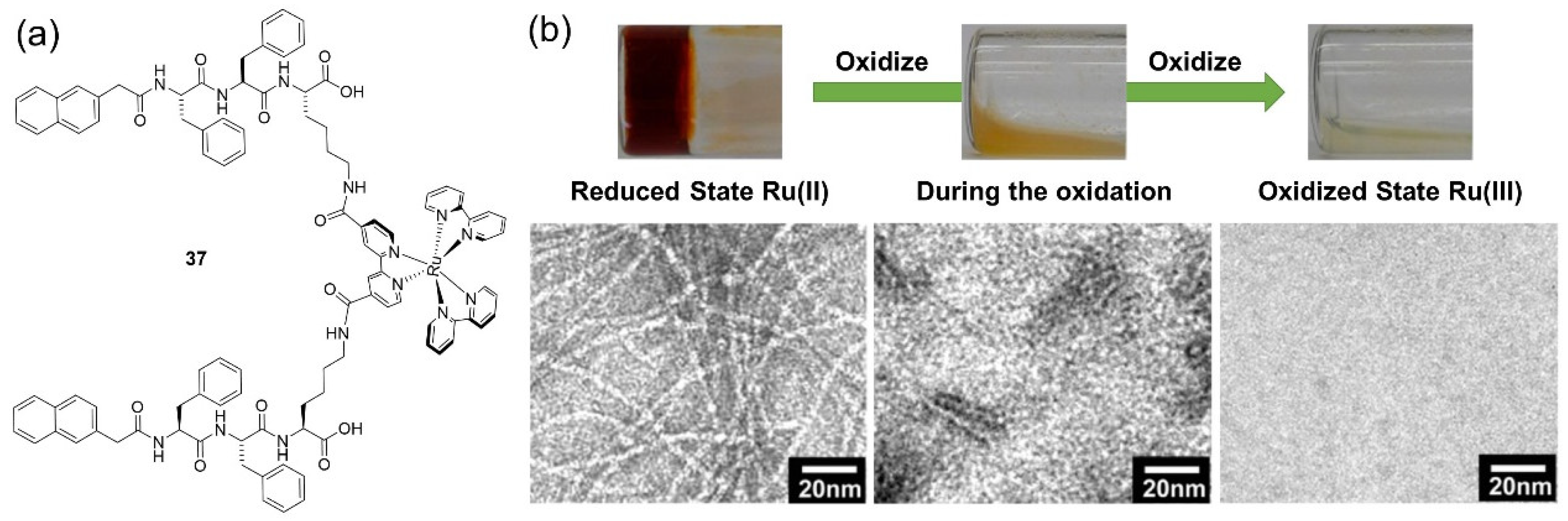 Molecules 28 02274 g015 Molecules 28 02274 g015