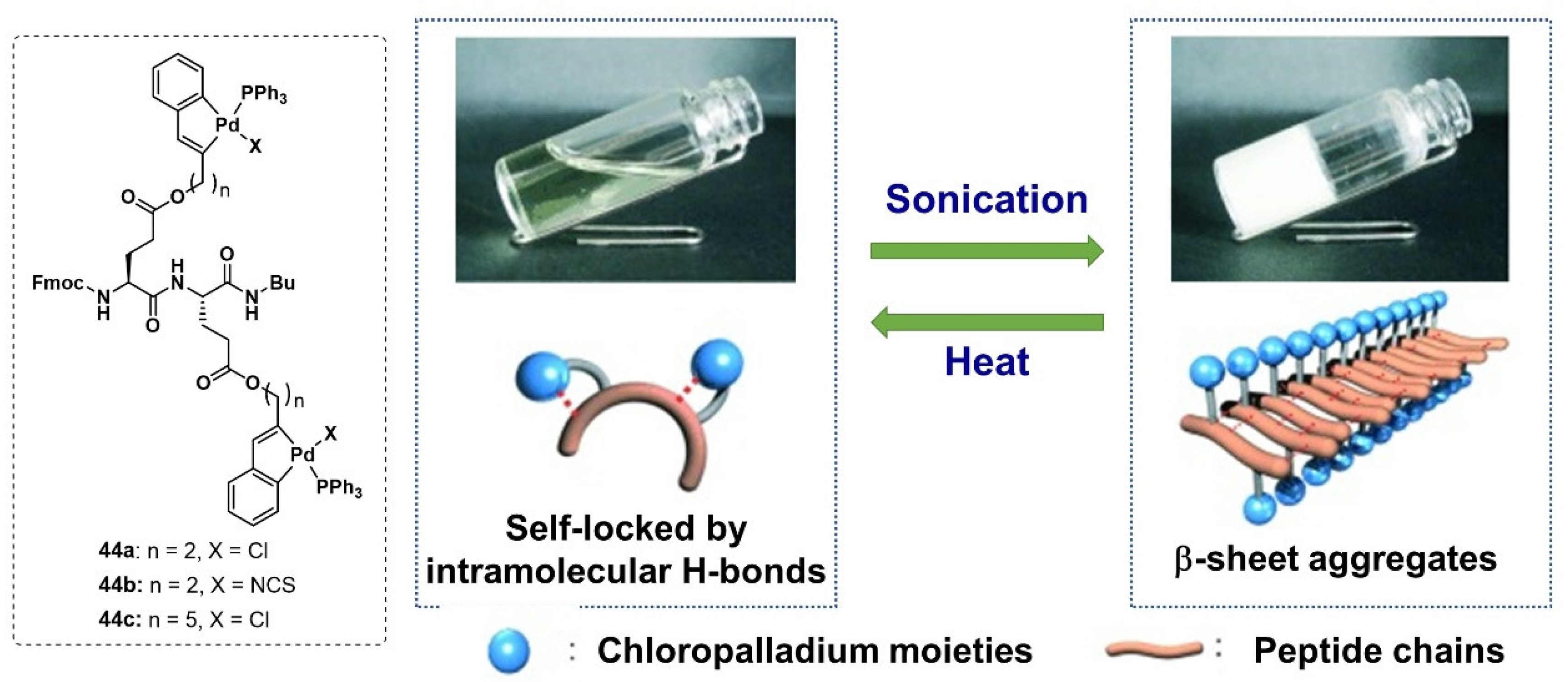 Molecules 28 02274 g019 Molecules 28 02274 g019