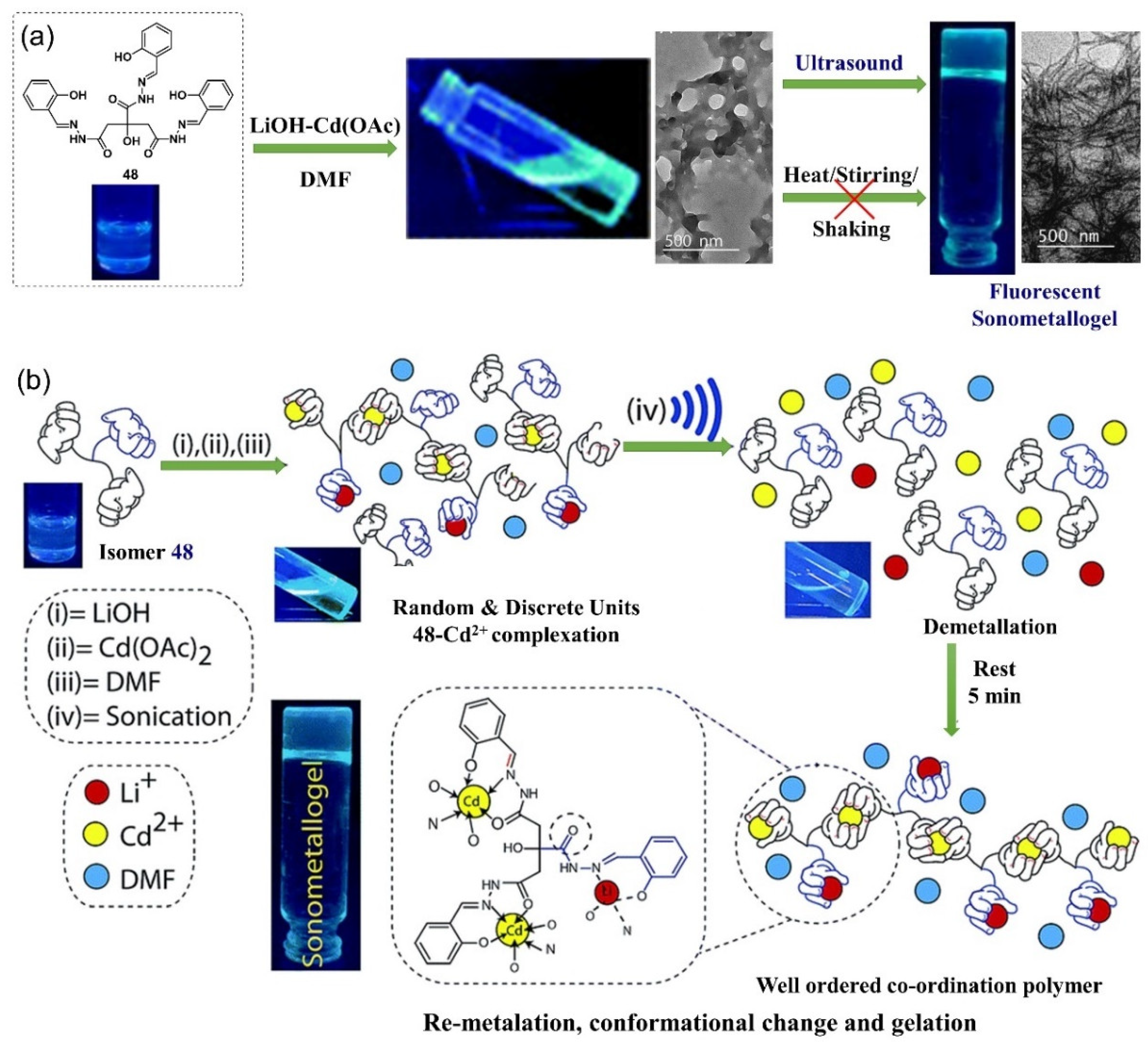 Molecules 28 02274 g022 Molecules 28 02274 g022