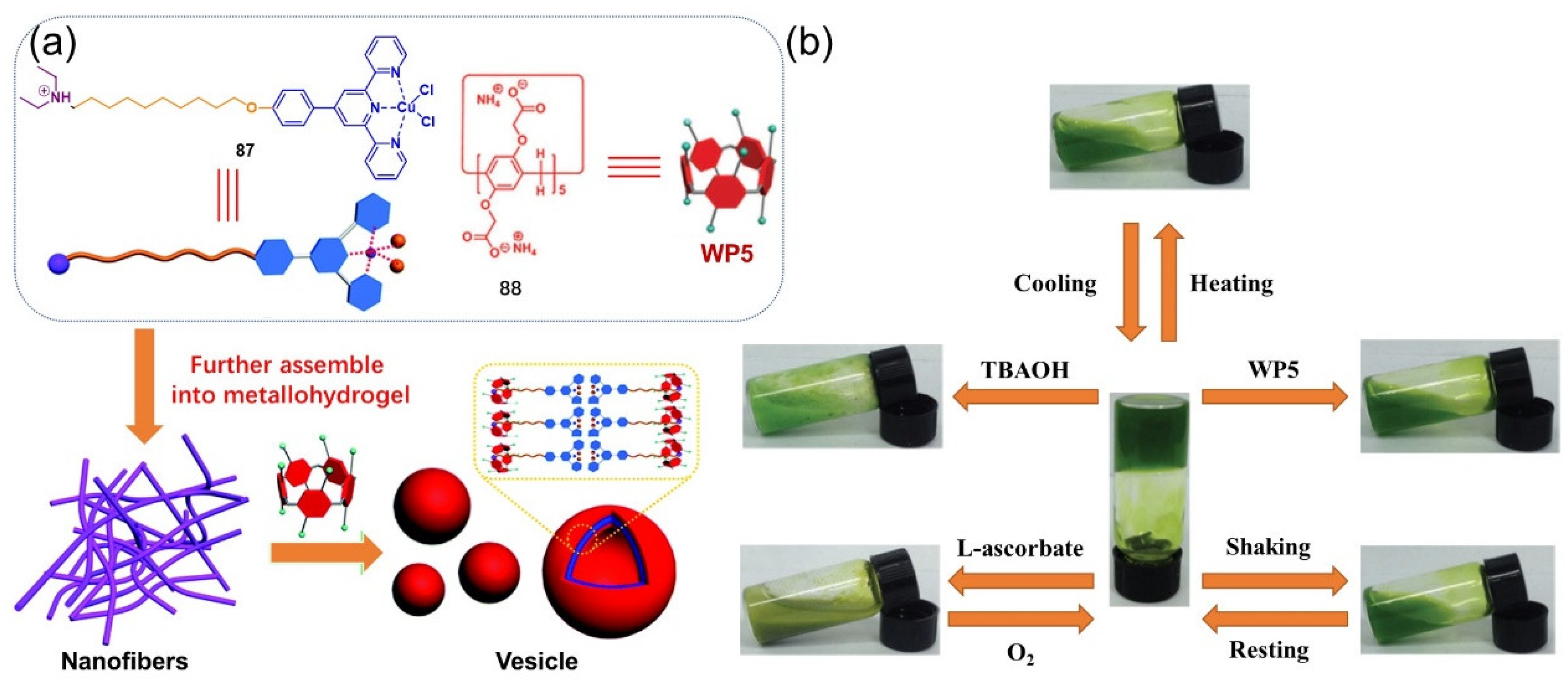 Molecules 28 02274 g035 Molecules 28 02274 g035