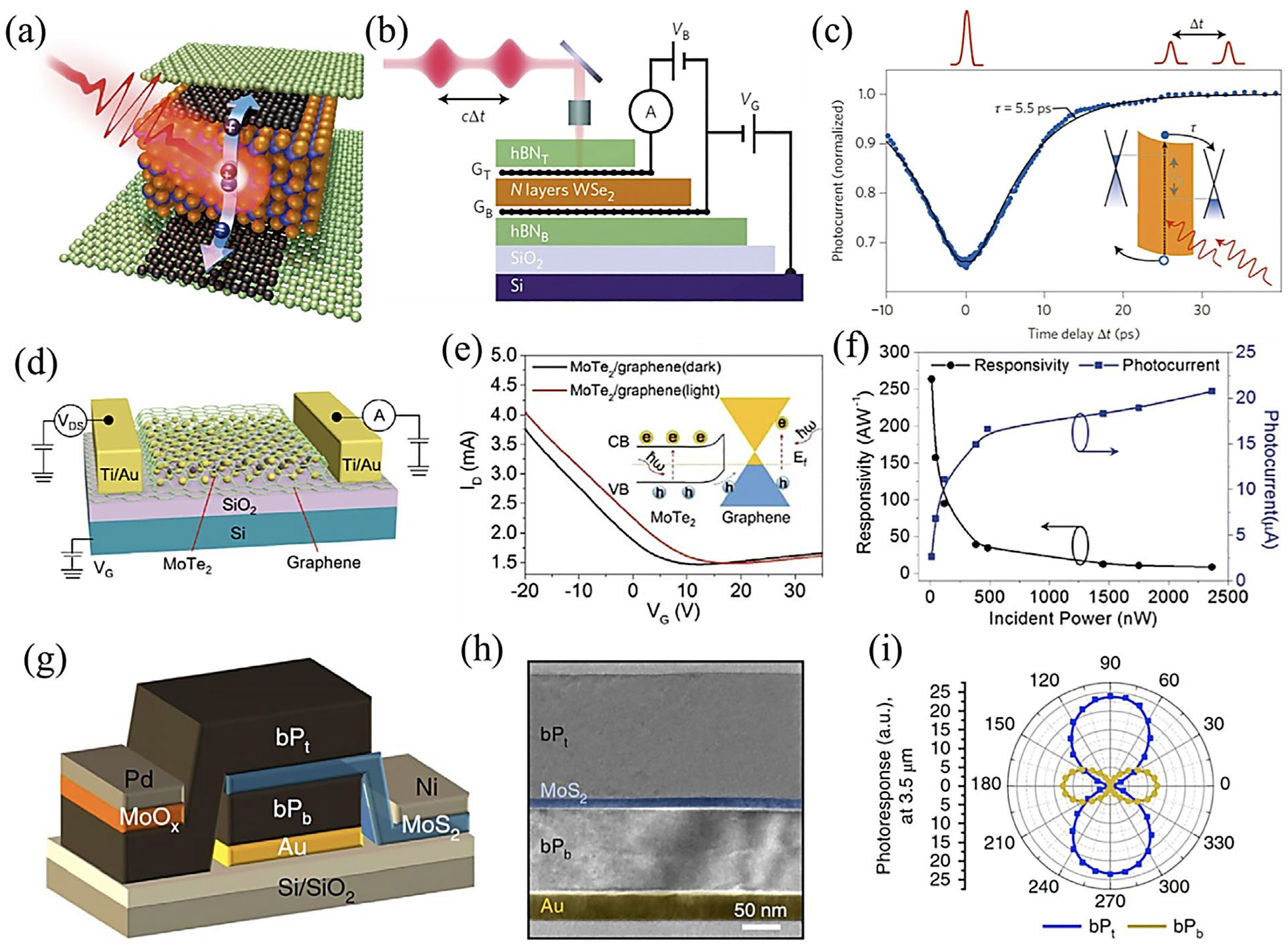 Molecules 28 02275 g009