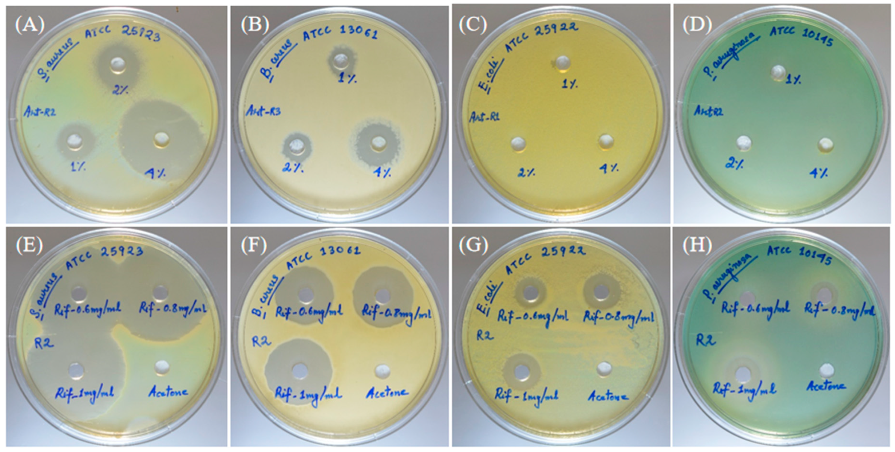 Molecules 28 02279 g004 Molecules 28 02279 g004