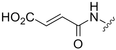 Molecules 28 02287 i004 Molecules 28 02287 i004