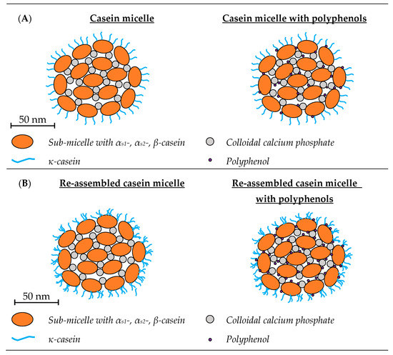 Molecules 28 02288 g003a Molecules 28 02288 g003a