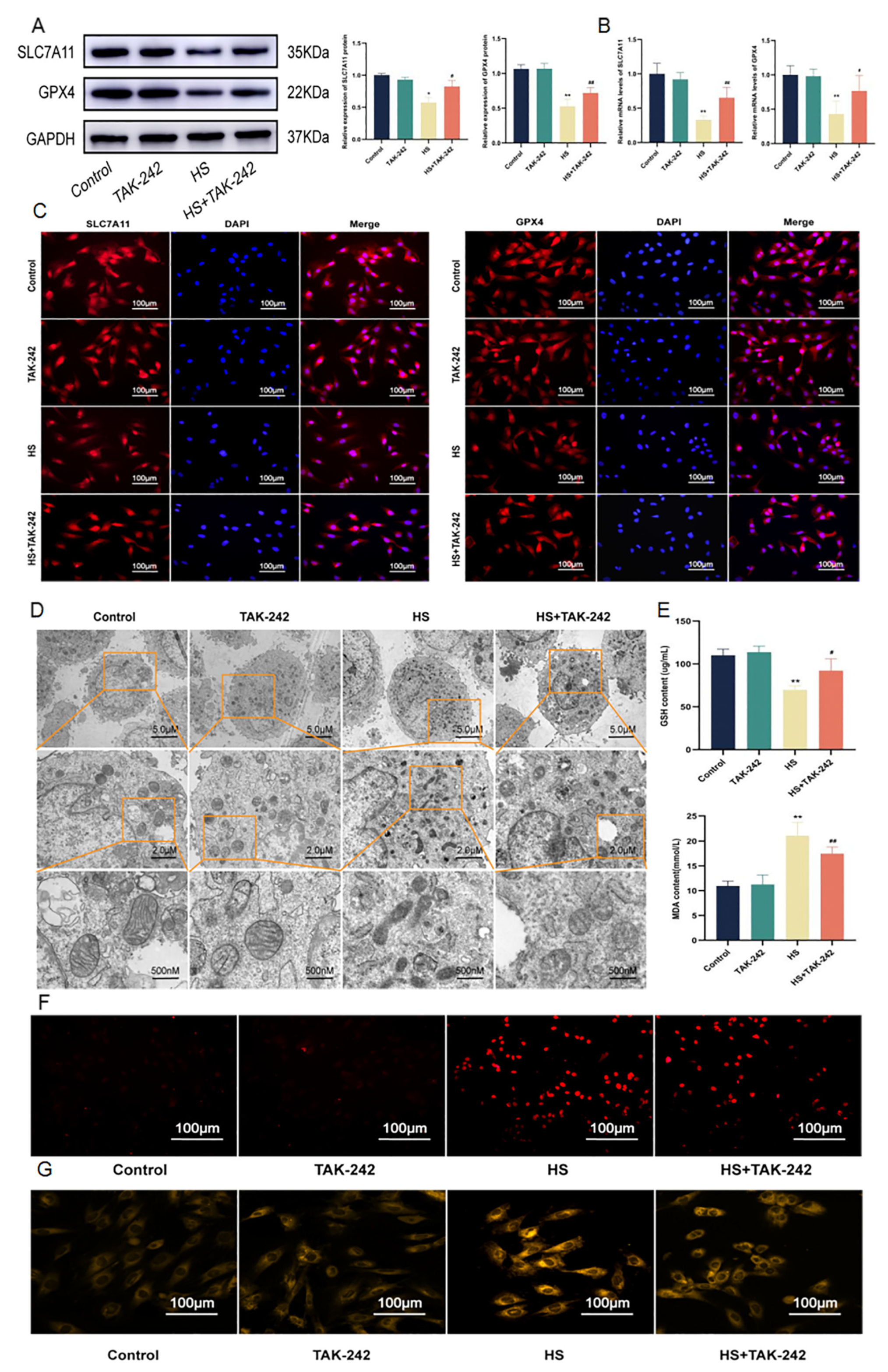 Molecules 28 02297 g006 Molecules 28 02297 g006
