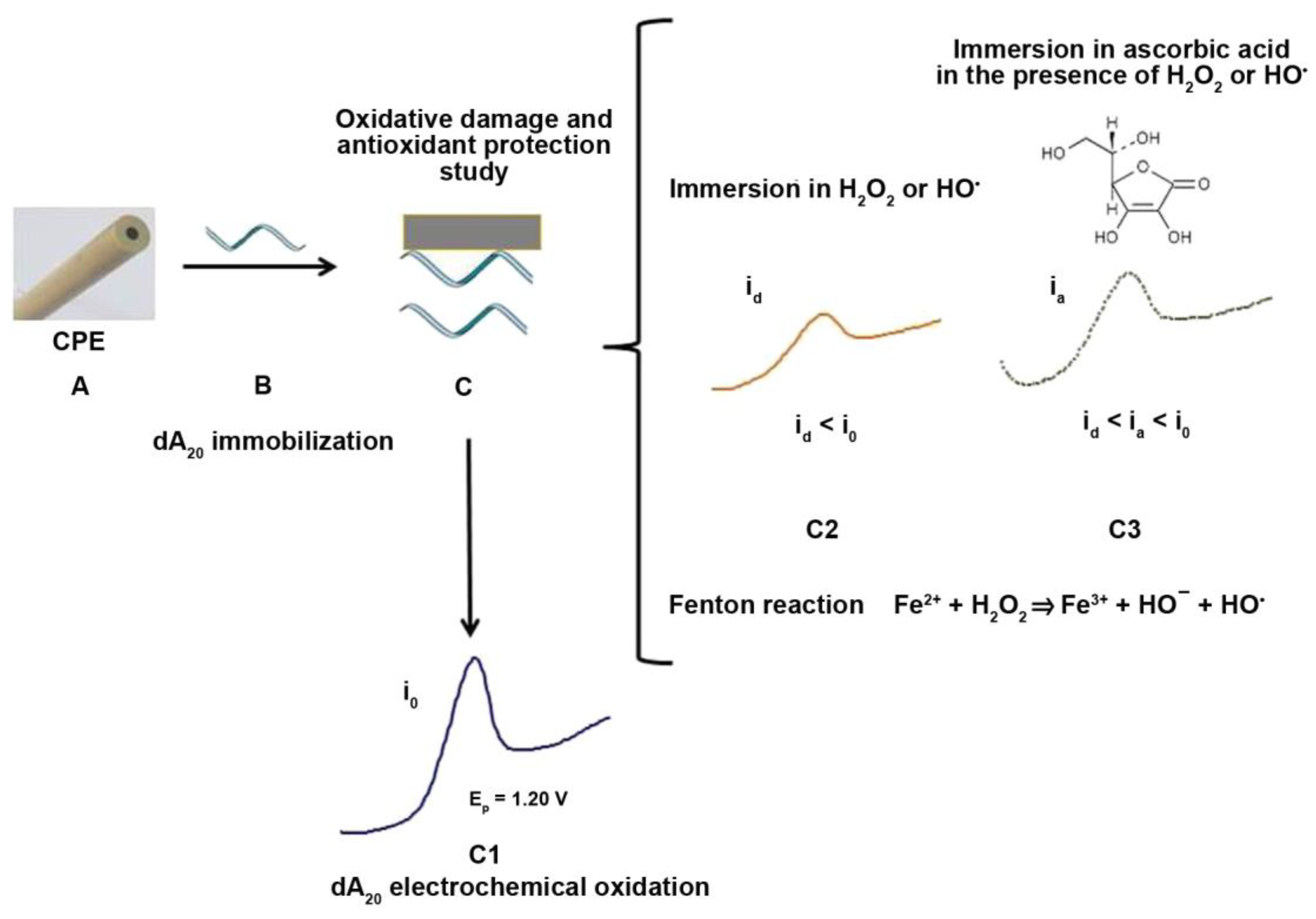 Molecules 28 02308 g007