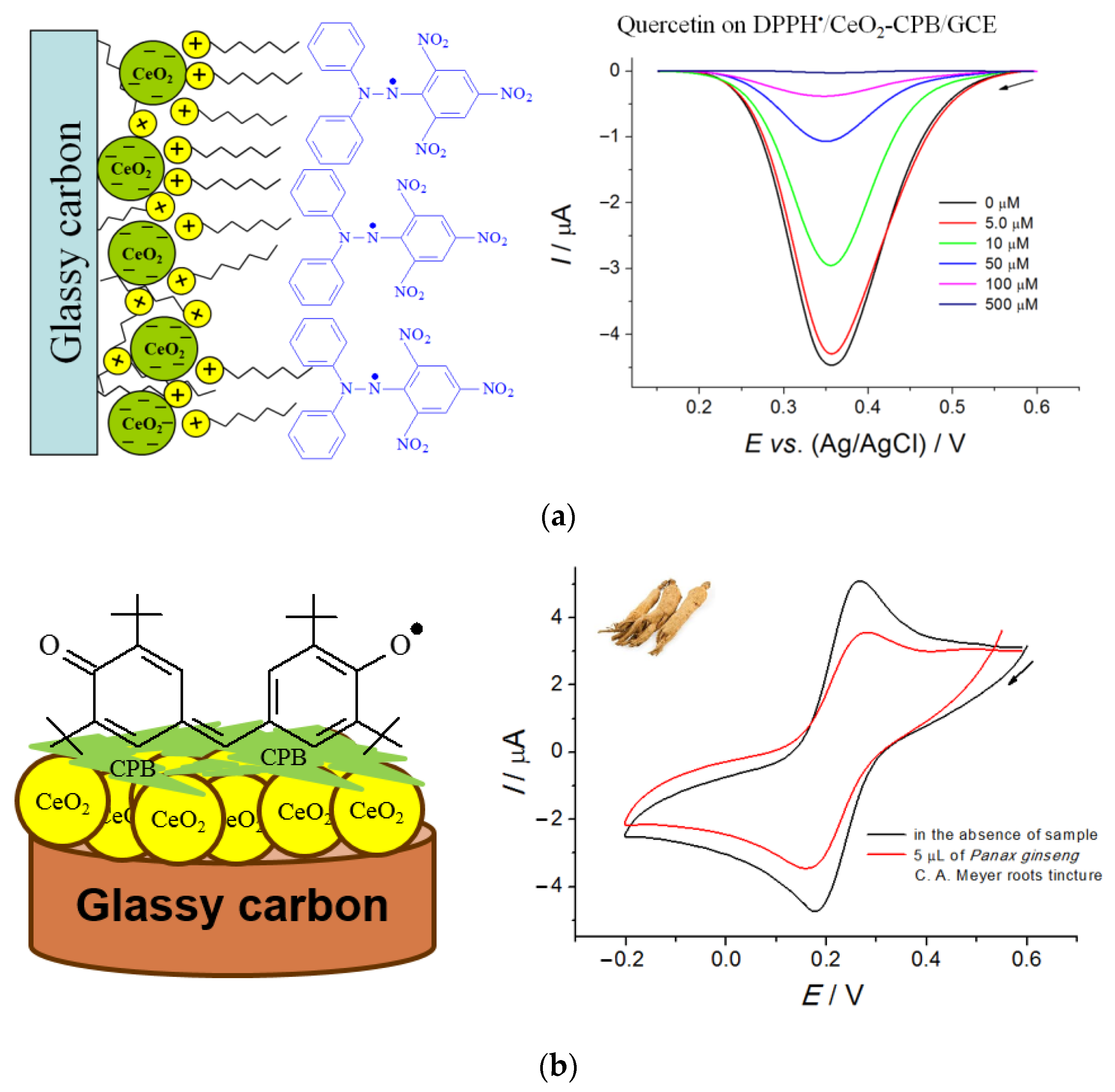 Molecules 28 02308 g011